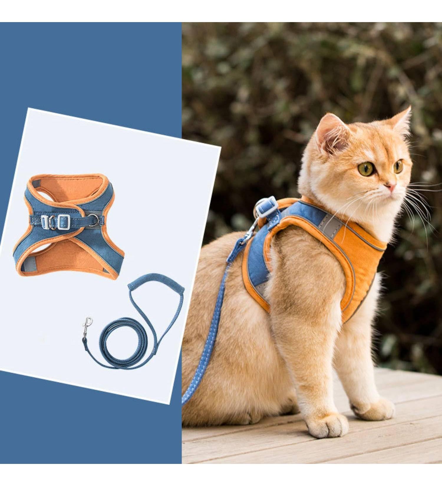 Fueegue Cat Harness with Leash Escape Proof Adjustable Soft for Cats and Dogs Puppy Harness Blue-Orange XXXL