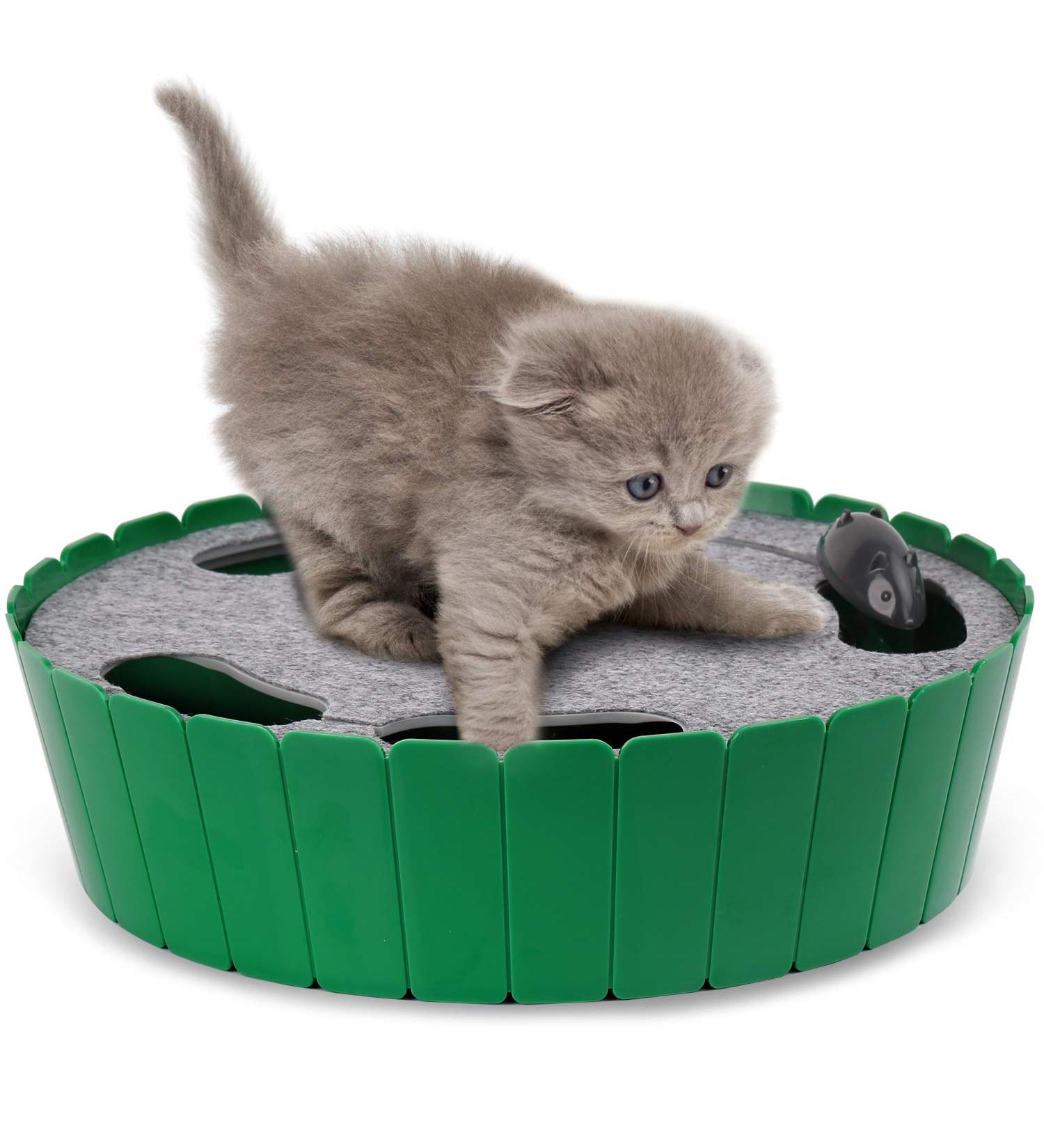 Pawaboo Electric Interactive Cat Toy with Running Mouse - Automatic Rotating Teaser for Endless Fun and Exercise - Green - Buy Online on SooperMarket.com