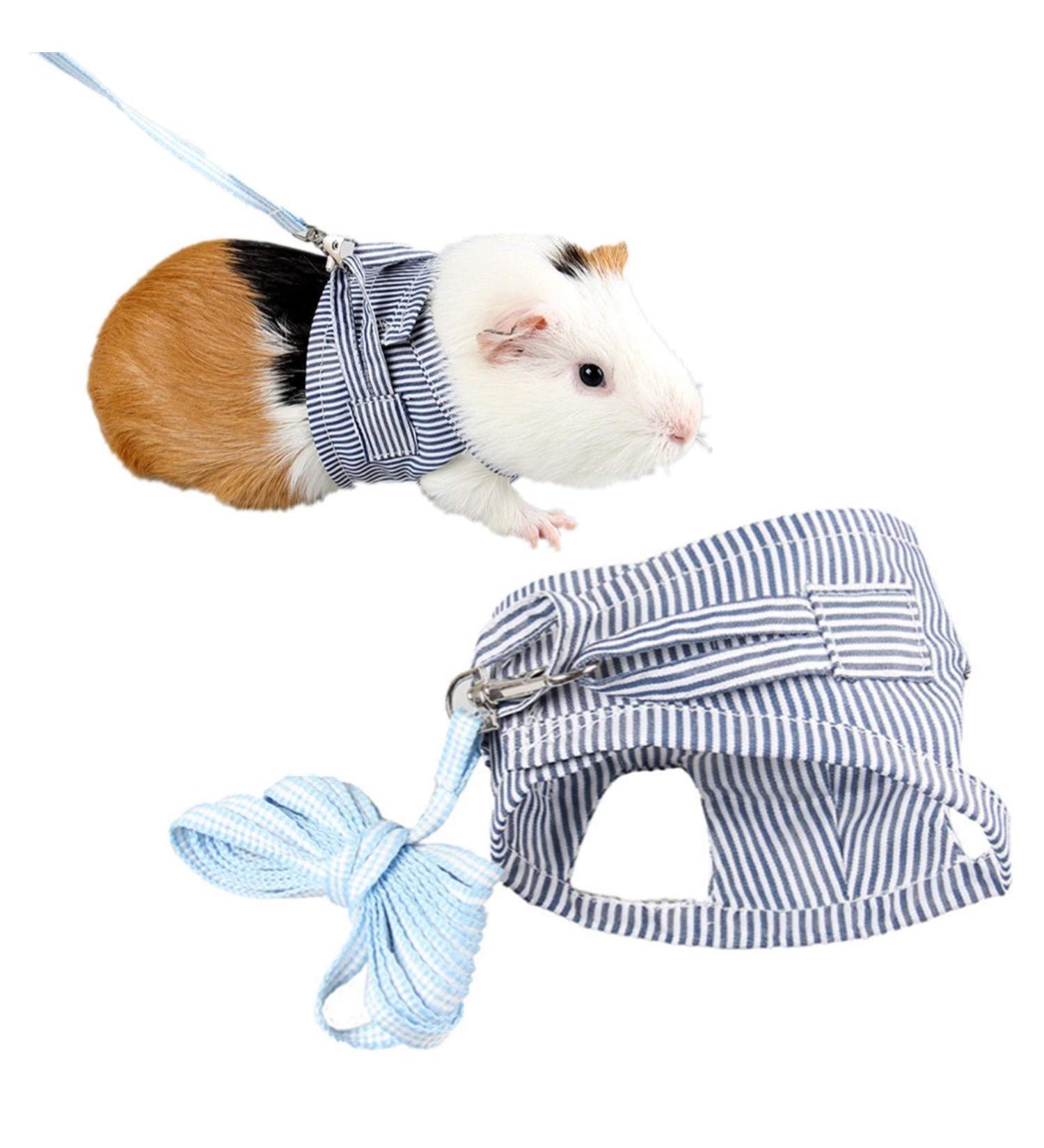 Small Animal Harness Leash Ferret Harness Outdoor Walking Vest Harness for Chinchilla Rat Squirrel Hedgehog Ferret Outdoor Walking Clothes (Blue S) - Buy Online on SooperMarket.com