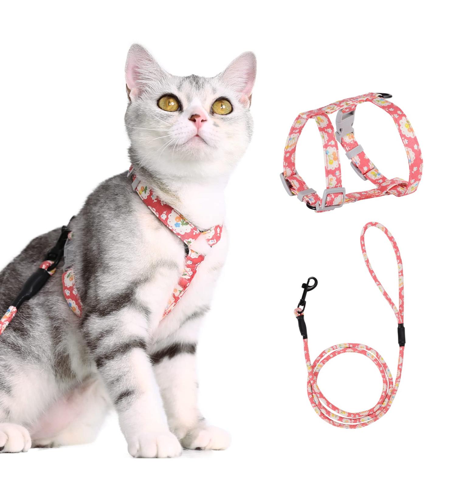 Petom Flower Pattern Cat Dishes & Leash Set | Round Lanyard for Cats - Shop Internationally! - Buy Online on SooperMarket.com