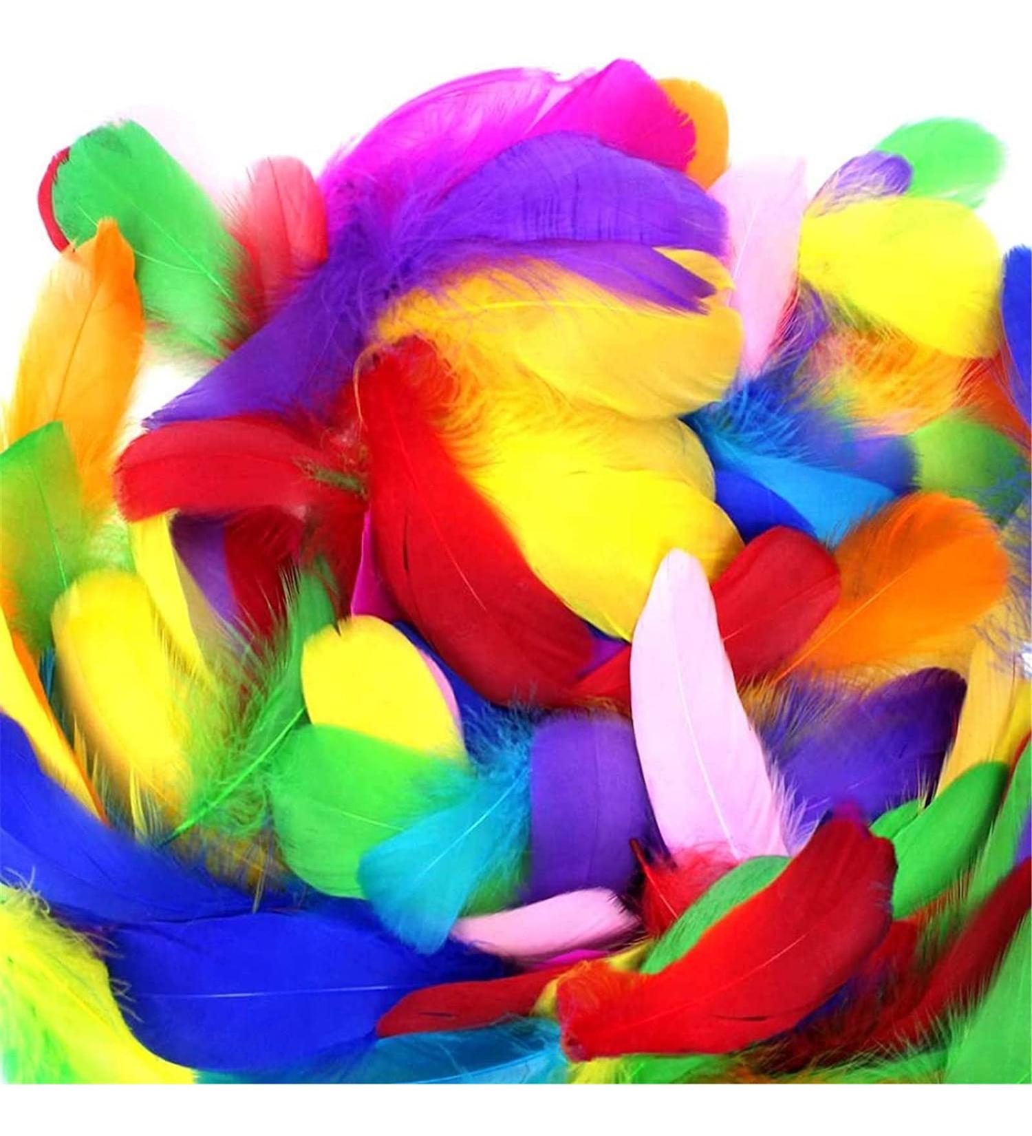 Coceca 300pcs Colorful Feathers for DIY Craft, Wedding, and Party Decor - Buy Online on SooperMarket.com