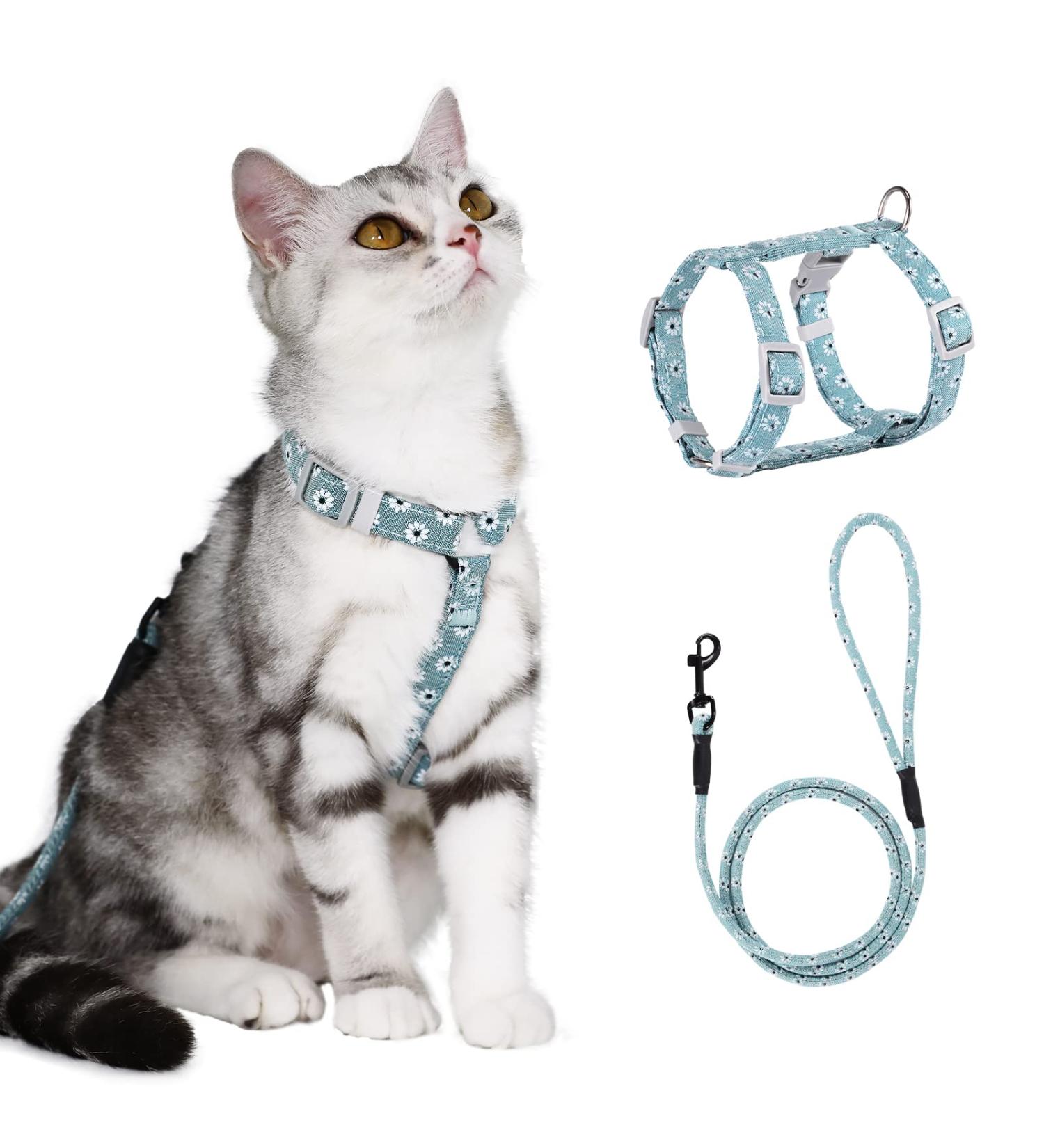 Buy Petom Flower Pattern Cat Dishes & Adjustable Leash - Perfect for Small & Medium Cats - Break-Proof Design - Light Green - Buy Online on SooperMarket.com