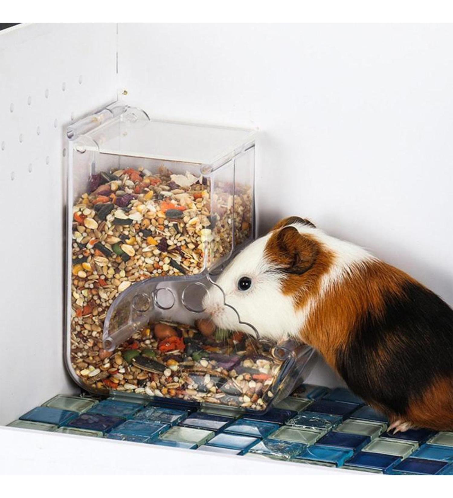 Hamsters Feeder Small Animals Automatic Dispenser Gravity Auto Dispensers Pet Pellets Food Storage Bowl - Dwarf Hamster Gerbils Mice Hedgehog Guinea Pig and Other Small Animal Ideal Feeding Station - Buy Online on SooperMarket.com