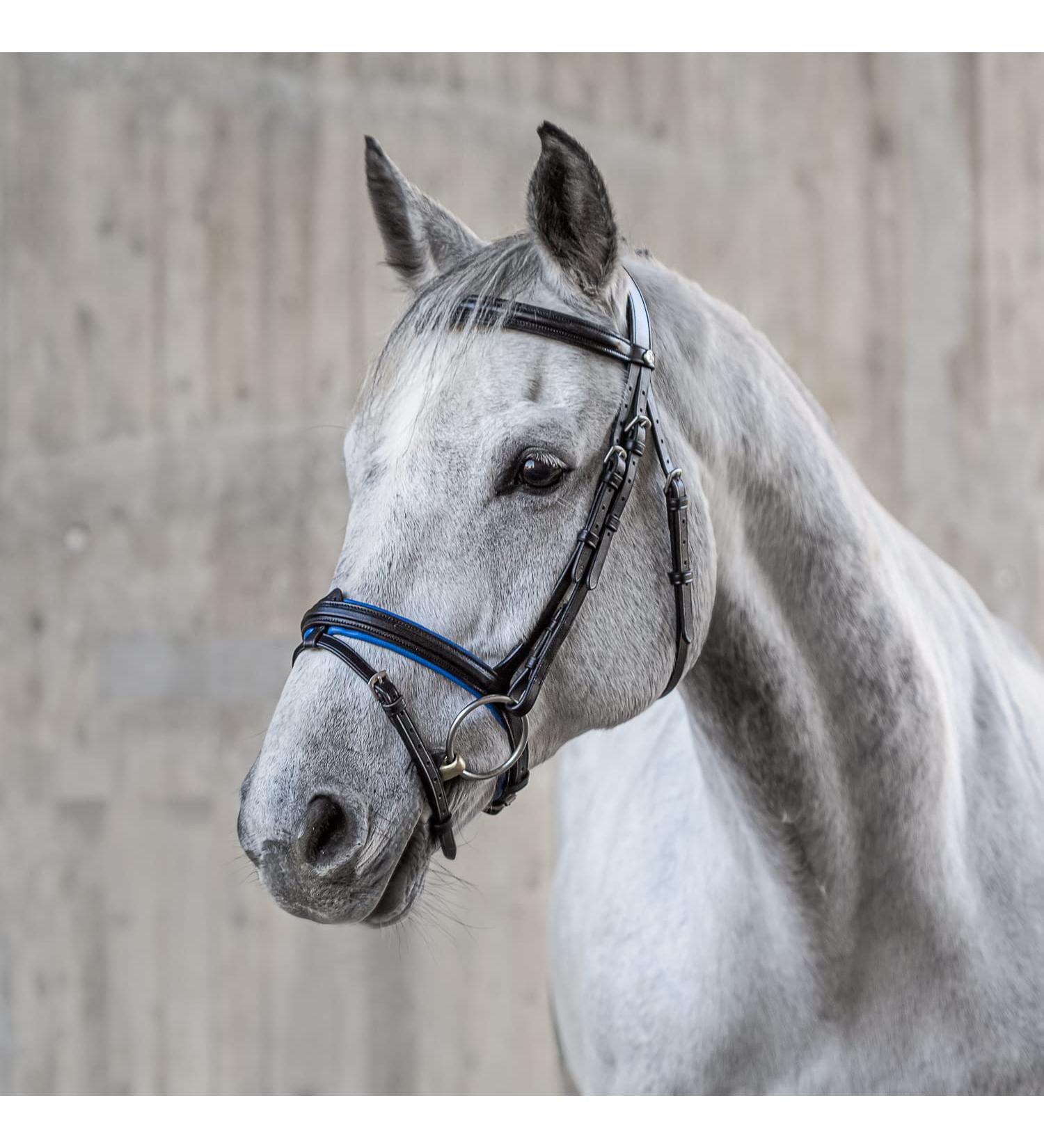 Sunride English Combined Bridle Hawaii with Reins - Soft Real Leather Adjustable & Anatomical (Full Size Black/Blue) - Buy Online on SooperMarket.com