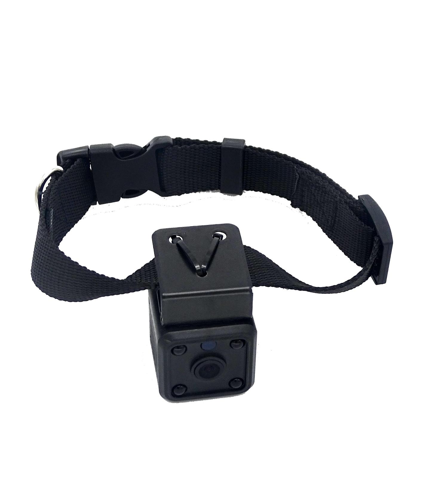 Wireless Rechargeable WiFi Pet Collar Camera Recorder Tracker - 720P HD with Night Vision - Bigger Size - Behavior Observation - Buy Online on SooperMarket.com