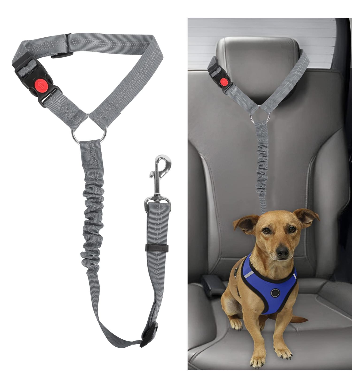 Beaface Headrest Dog Car Seat Belt Pet Car Seat Belt Lead Adjustable Elastic Car Harness Seat Belts for Dogs Cats Pets in Car Strong Nylon Bungee Buffer Dog Car Harnesses (Grey) - Buy Online on SooperMarket.com