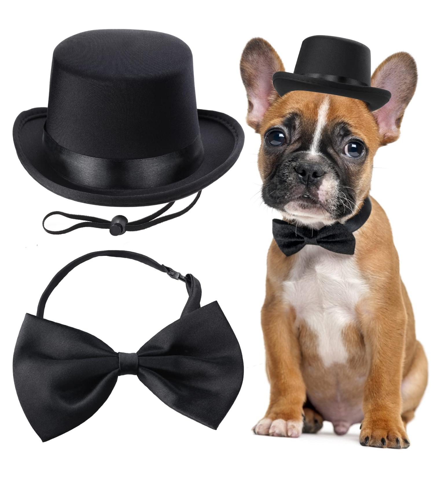 Yewong 2 Pieces Pet Formal Accessories Set - Pet Top Hat with Pet Formal Necktie/Bowtie Birthday Party Gradation Halloween Costumes Accessories for Dog Cat (Black-A) - Buy Online on SooperMarket.com