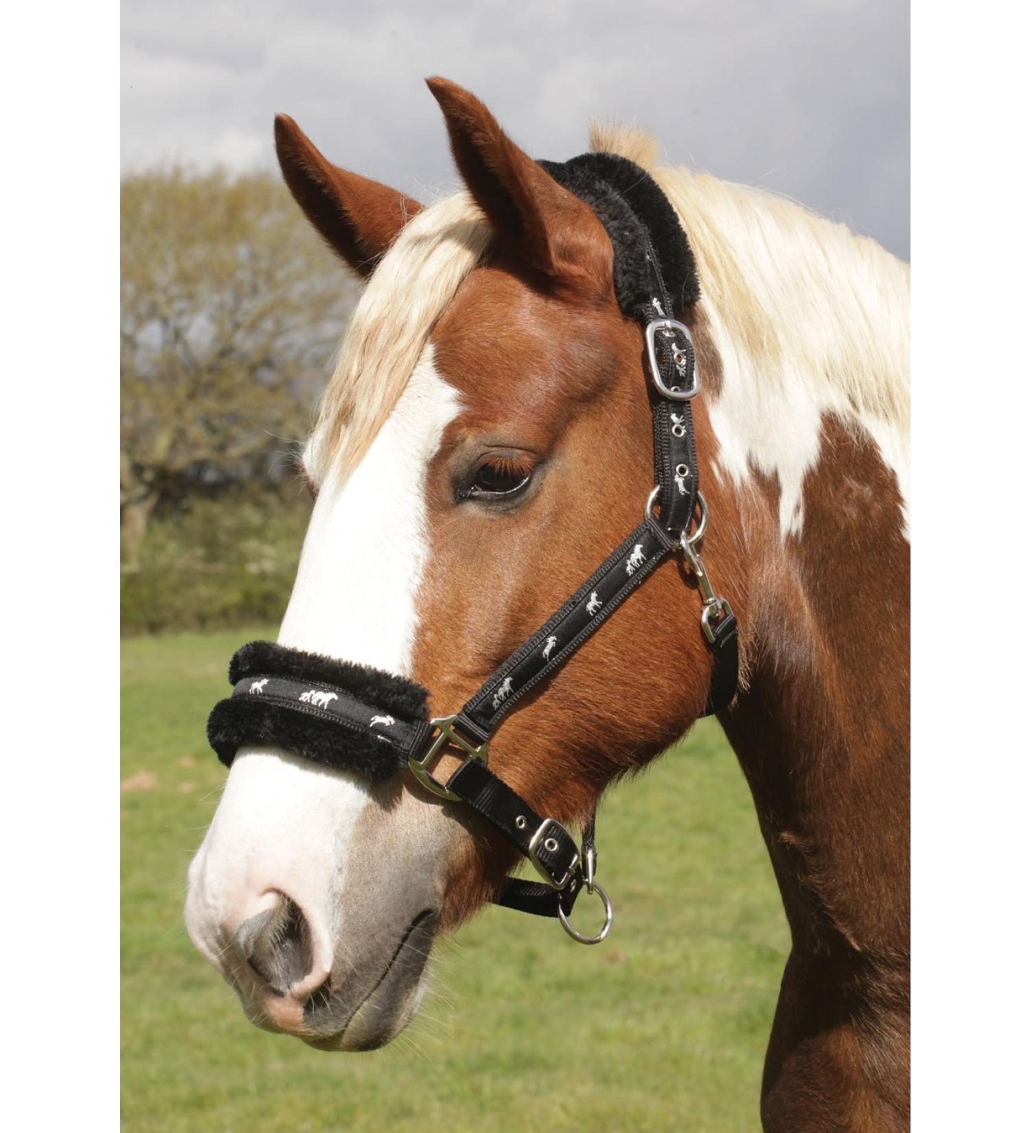 Rhinegold Logo Halter with Fleece Trim Black Full Size
