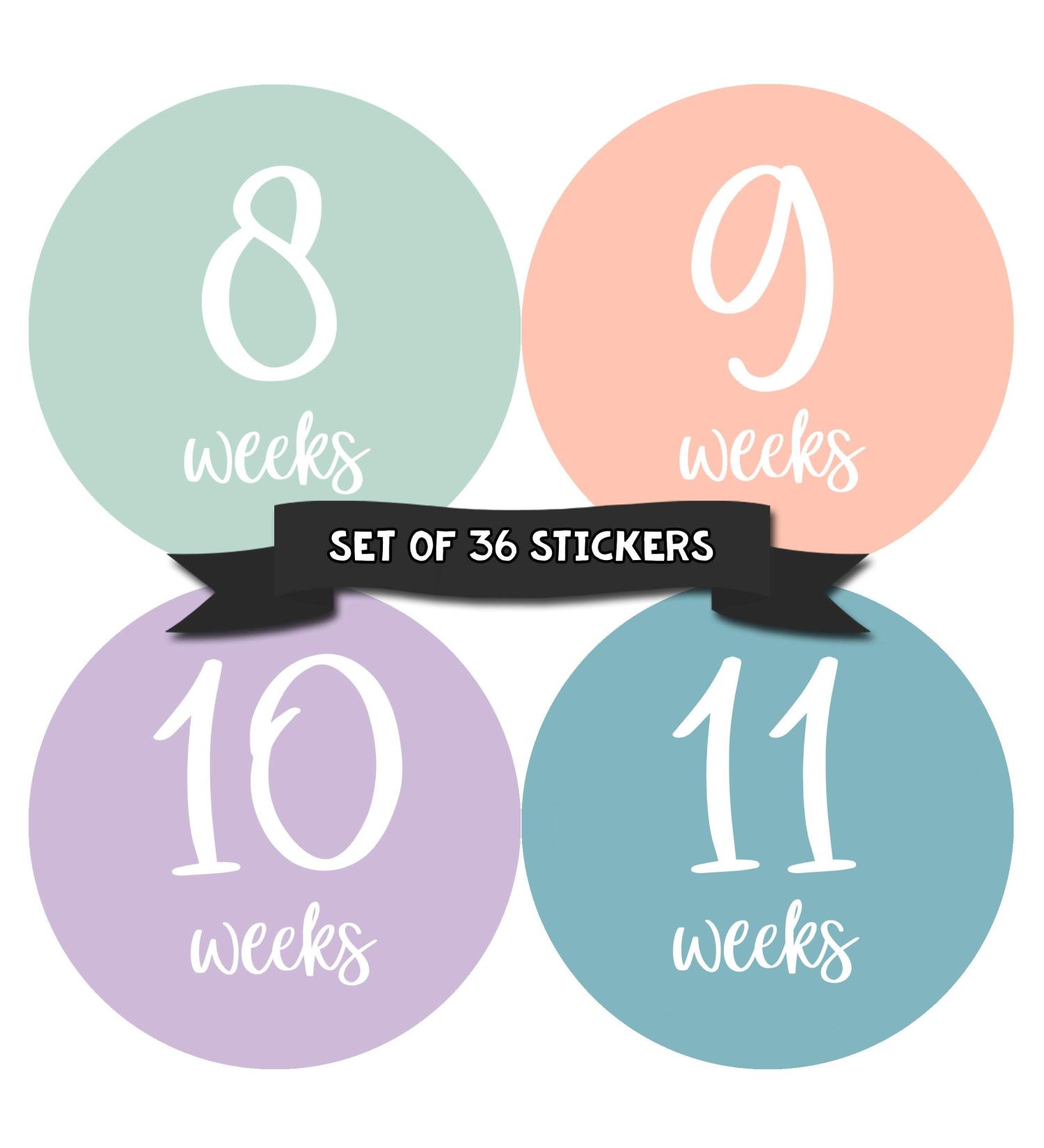 Pregnancy Weekly Belly Growth Stickers - Maternity Keepsake - Set of 36 Week by Week Pregnancy Photo Props - Buy Online on SooperMarket.com
