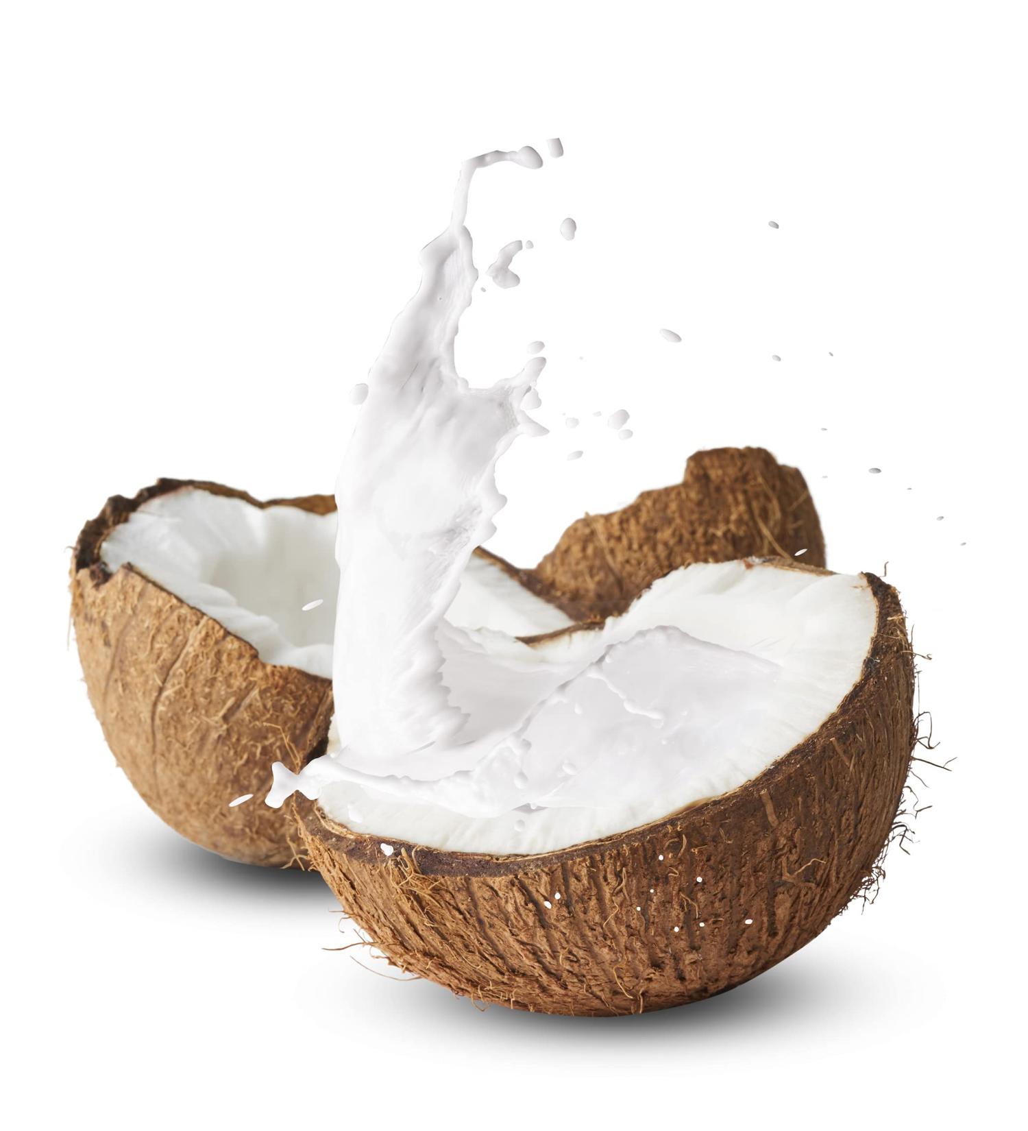 EcoEcho Organic Coconut Milk Powder (Unsweetened Non GMO) - 1kg / 2.2Lb - Buy Online on SooperMarket.com