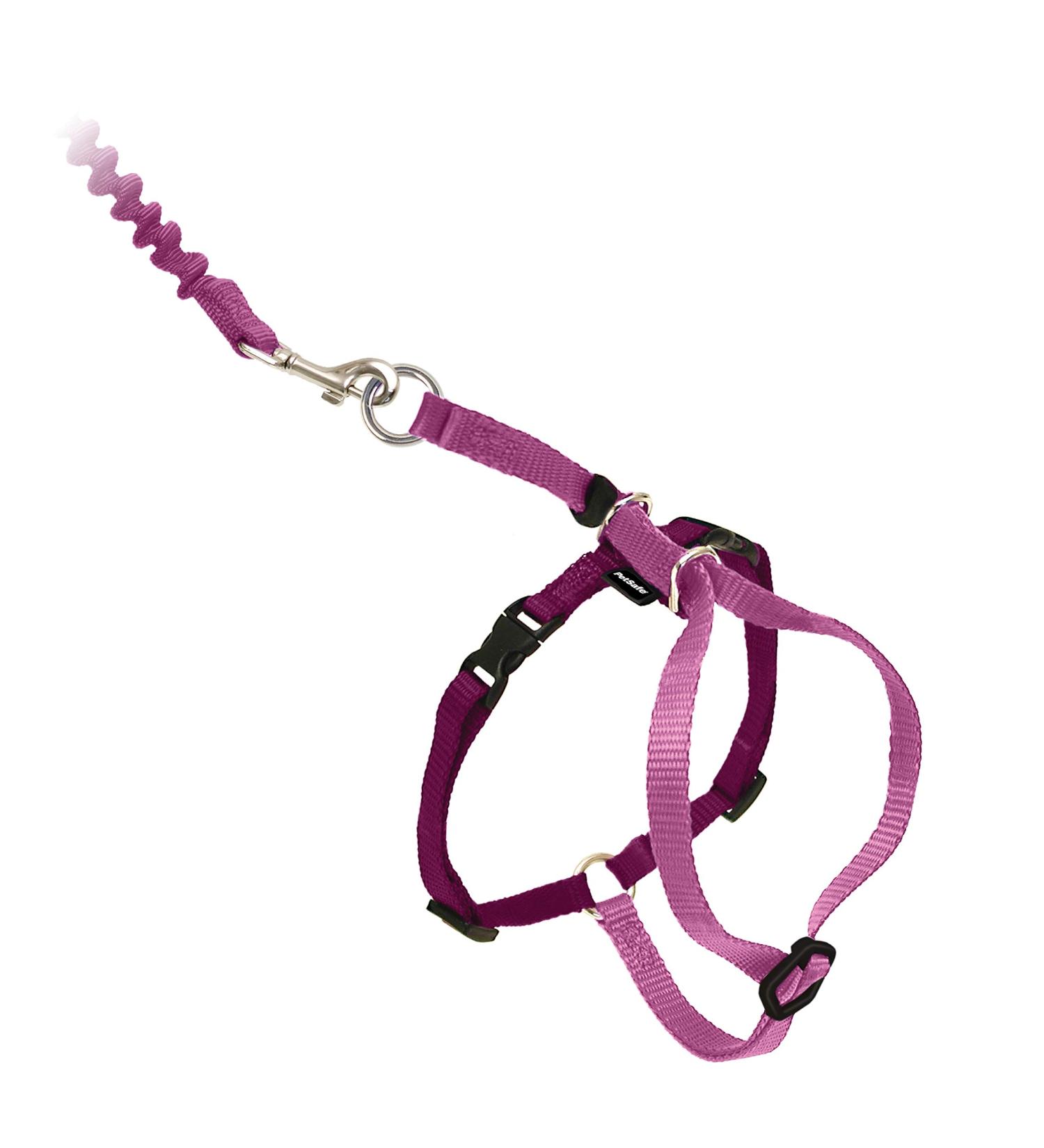PetSafe Come With Me Kitty Dishes & Bungee Leash - Medium Dusty Rose/Burgundy for Cats | International Shipping - Buy Online on SooperMarket.com