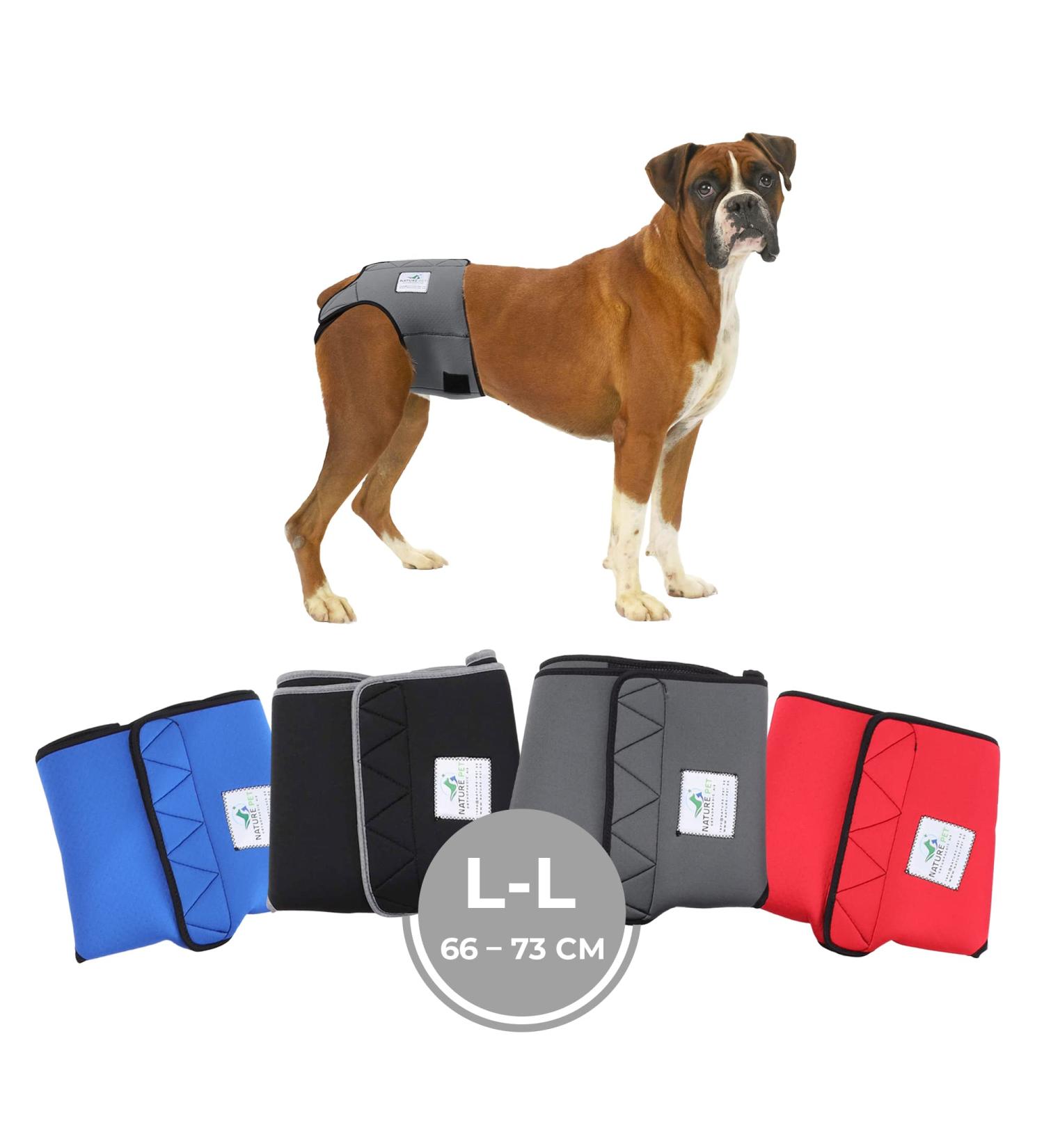 Procedure Pants for Dogs 2.0 - High-Quality Neoprene Dog Diapers for Males | Comfortable & Breathable | Size L - Gray - Buy Online on SooperMarket.com