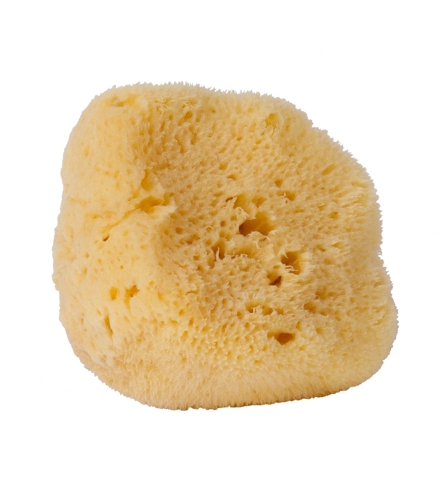 Croll & Denecke natural sponge nature