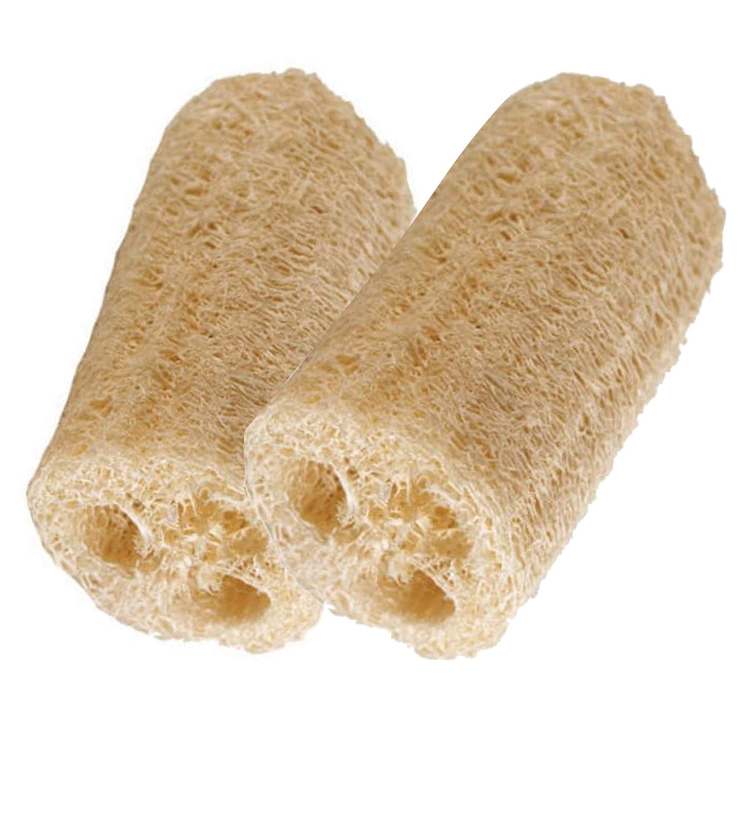 Organic Loofa Bath Sponge Set - 2 Exfoliating Scrubbers | Naturally Grown Loofah - HealthGoodsIn - Buy Online on SooperMarket.com
