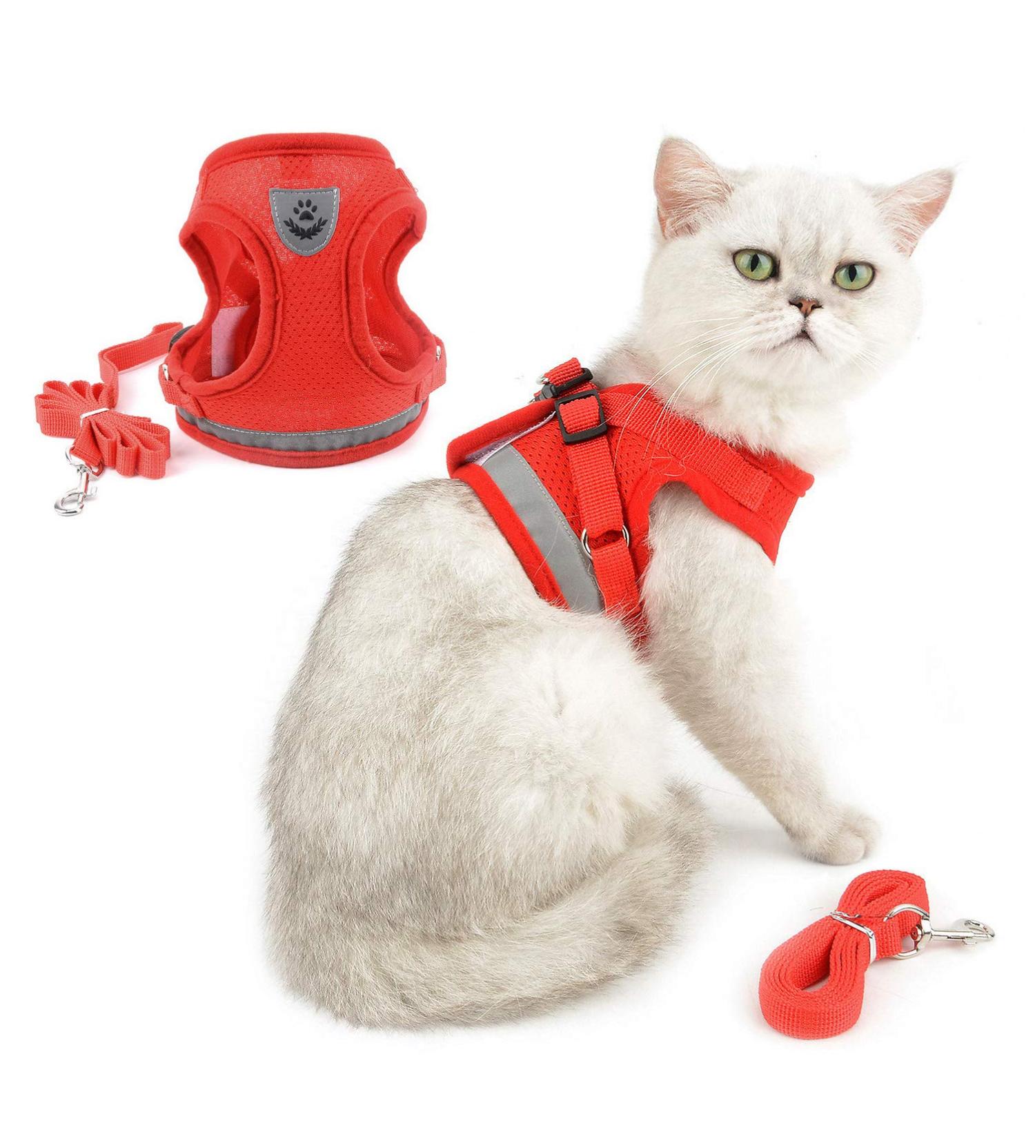 Ranphy Cat Dishes & Breakproof Reflective Chest Harness | Soft Network Fabric for Small Cats & Puppies - Red M (40 cm) - Buy Online on SooperMarket.com