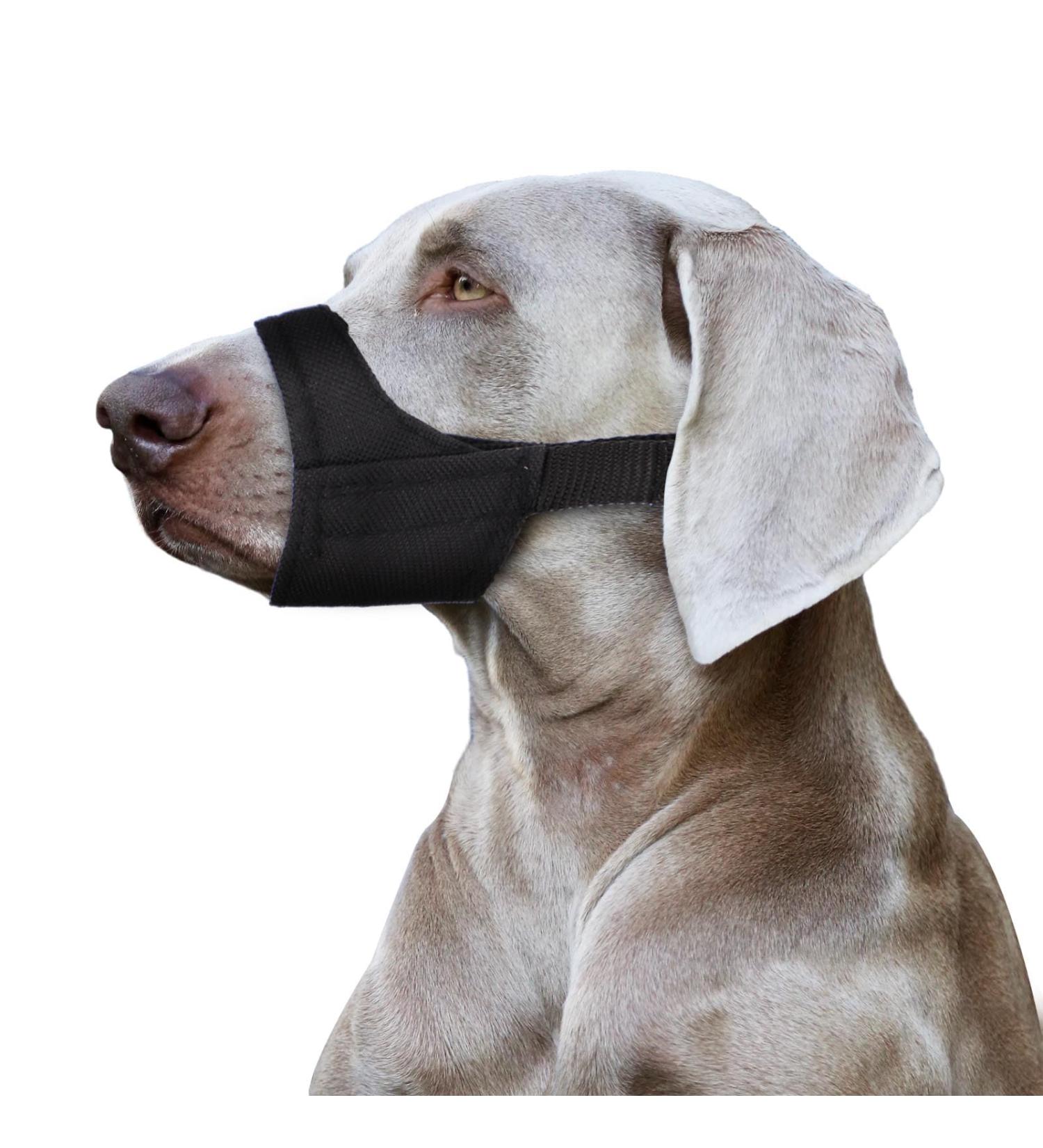 Muzzle for Short Snouted Dogs | Soft & Comfortable Dog Muzzle for Small Breeds - Chihuahua Shih Tzu & More - Buy Online on SooperMarket.com