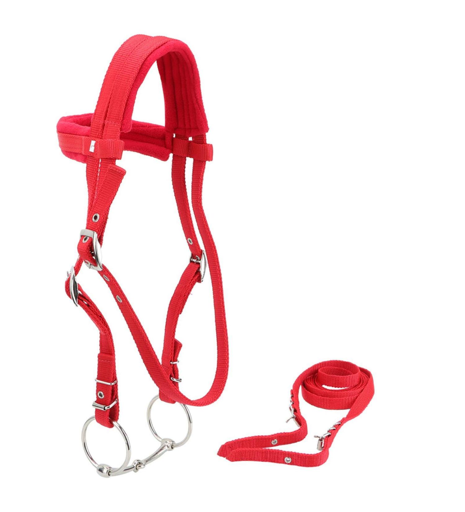 Premium PP Horse Bridle & Harness | Durable Horse Equipment for Home & Travel - Buy Online on SooperMarket.com