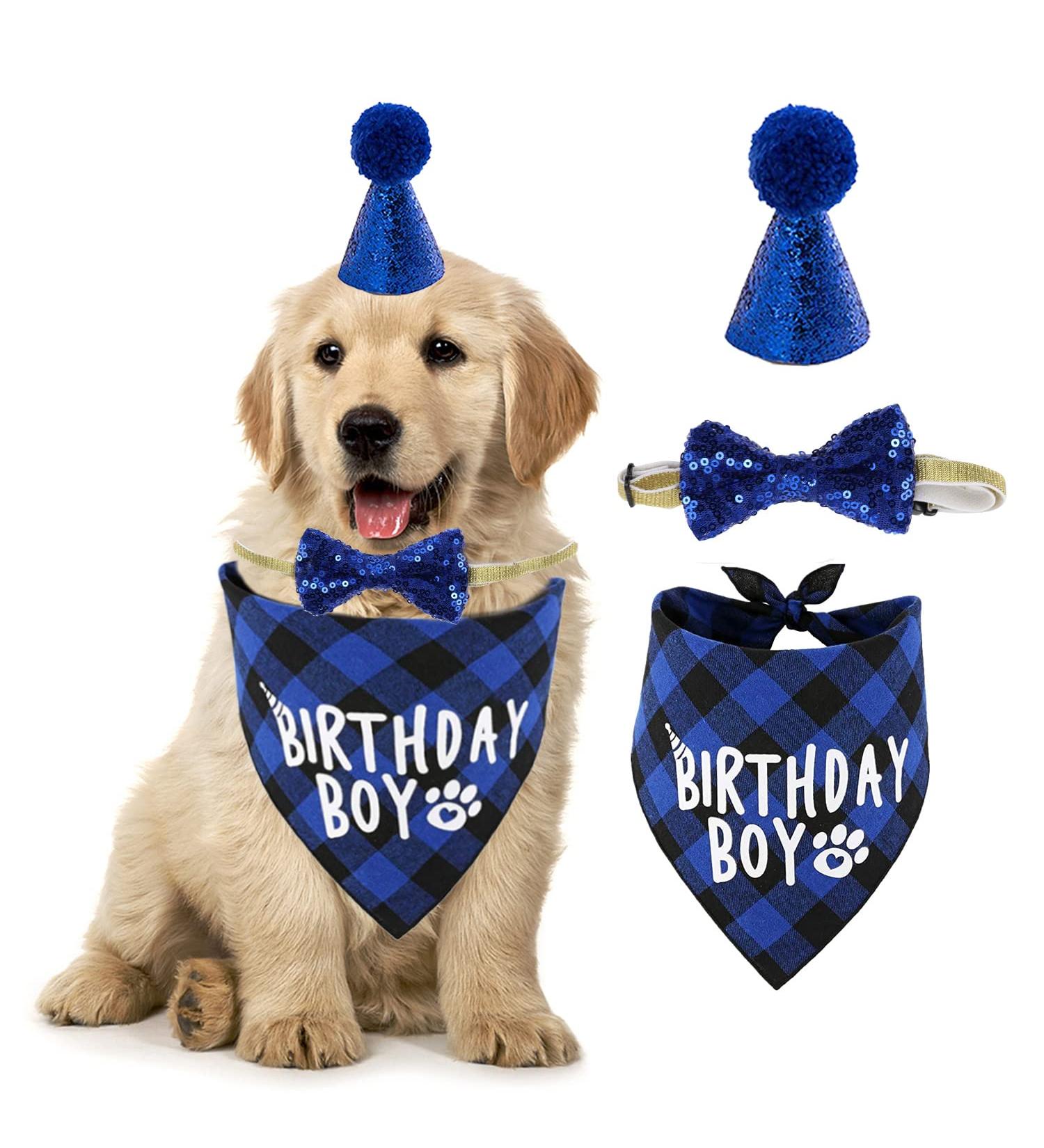 Dog Birthday Hat & Bandana Set - 3pcs Blue Dog Party Accessories for Boys & Girls - Perfect for Puppies & Cats - Buy Online on SooperMarket.com