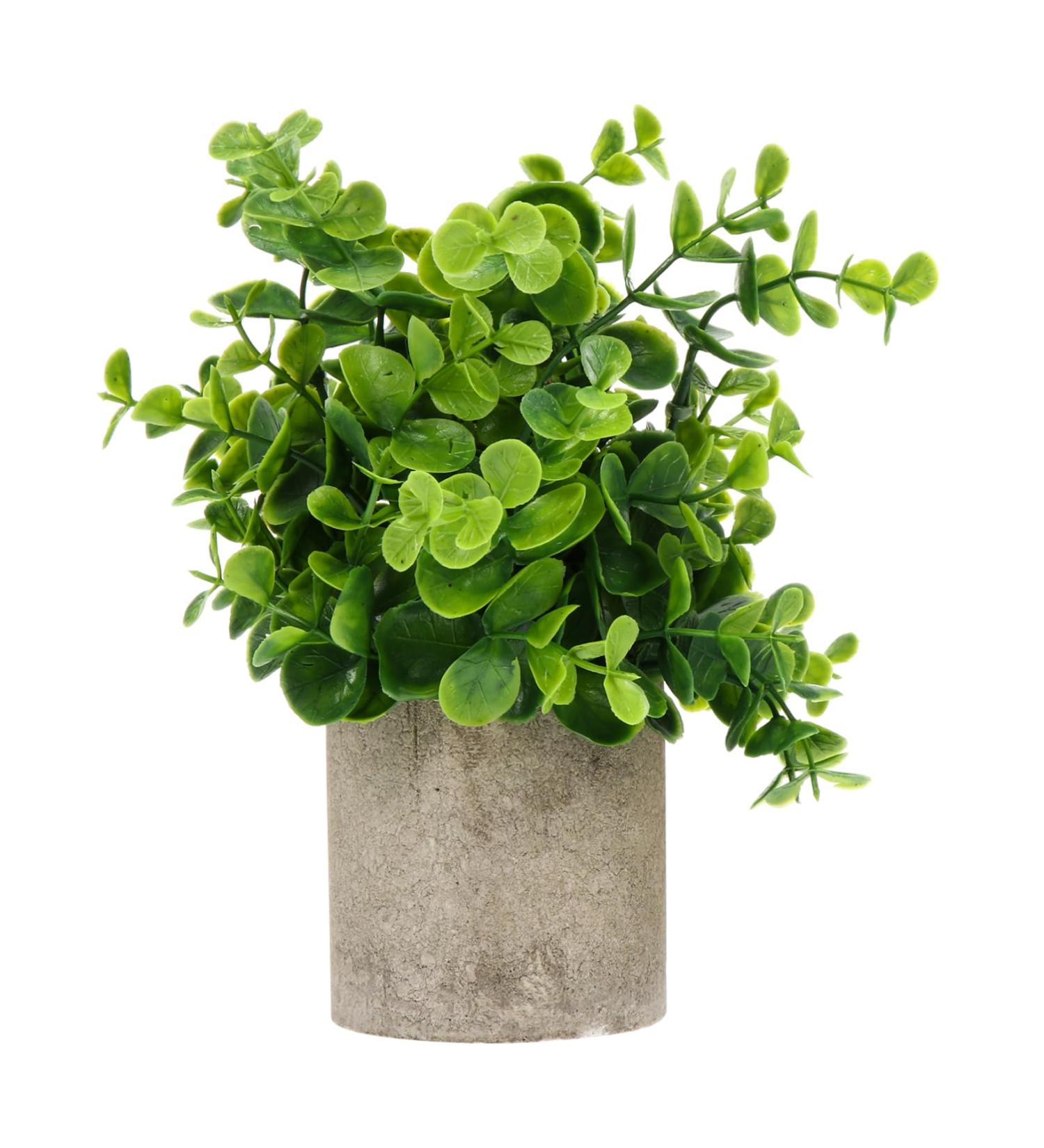 Cabilock 1pc Simulated Potted Plant Green Plants Plastic Rosemary As Shown 22x8cm - Buy Online on SooperMarket.com