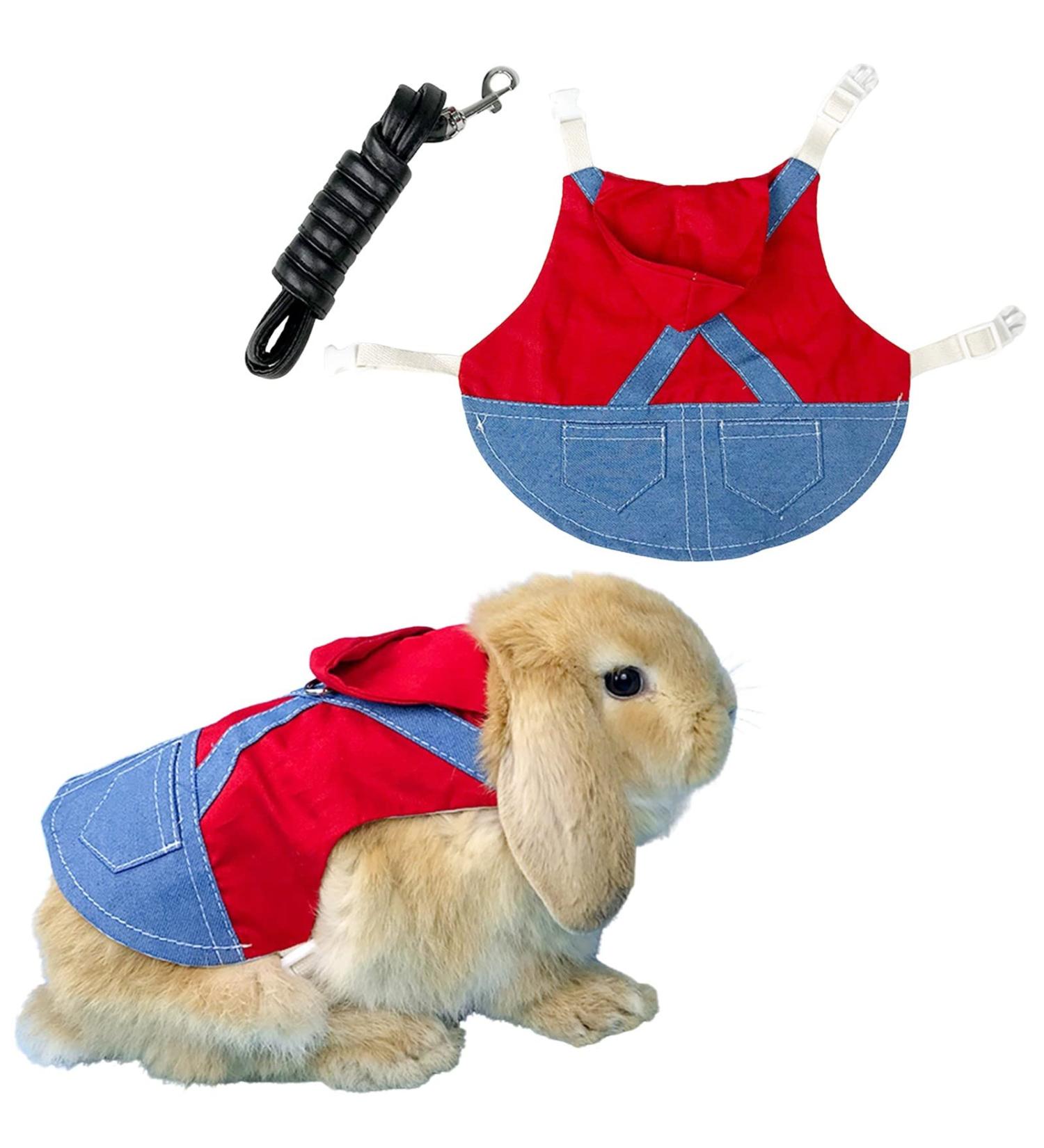 Adjustable Soft Rabbit Dishes & Leash Set for Small Pets - Perfect for Rabbits Cats & Guinea Pigs (Red M) - Buy Online on SooperMarket.com