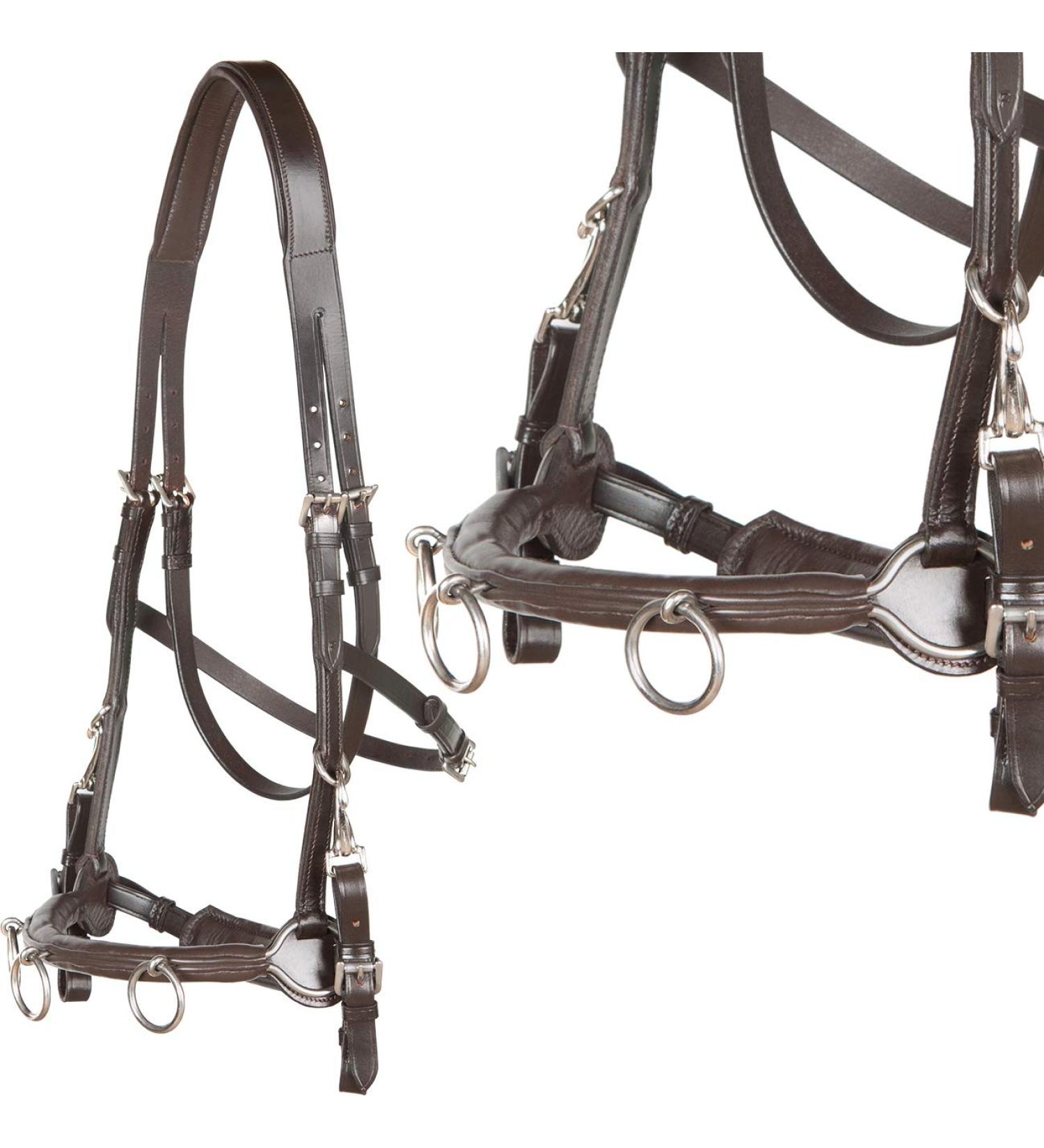 Heinick-Reitsport French Professional Leather Caveson | Brown Cavecon Cavesson for Thoroughbred & Cob | International Shipping Available - Buy Online on SooperMarket.com