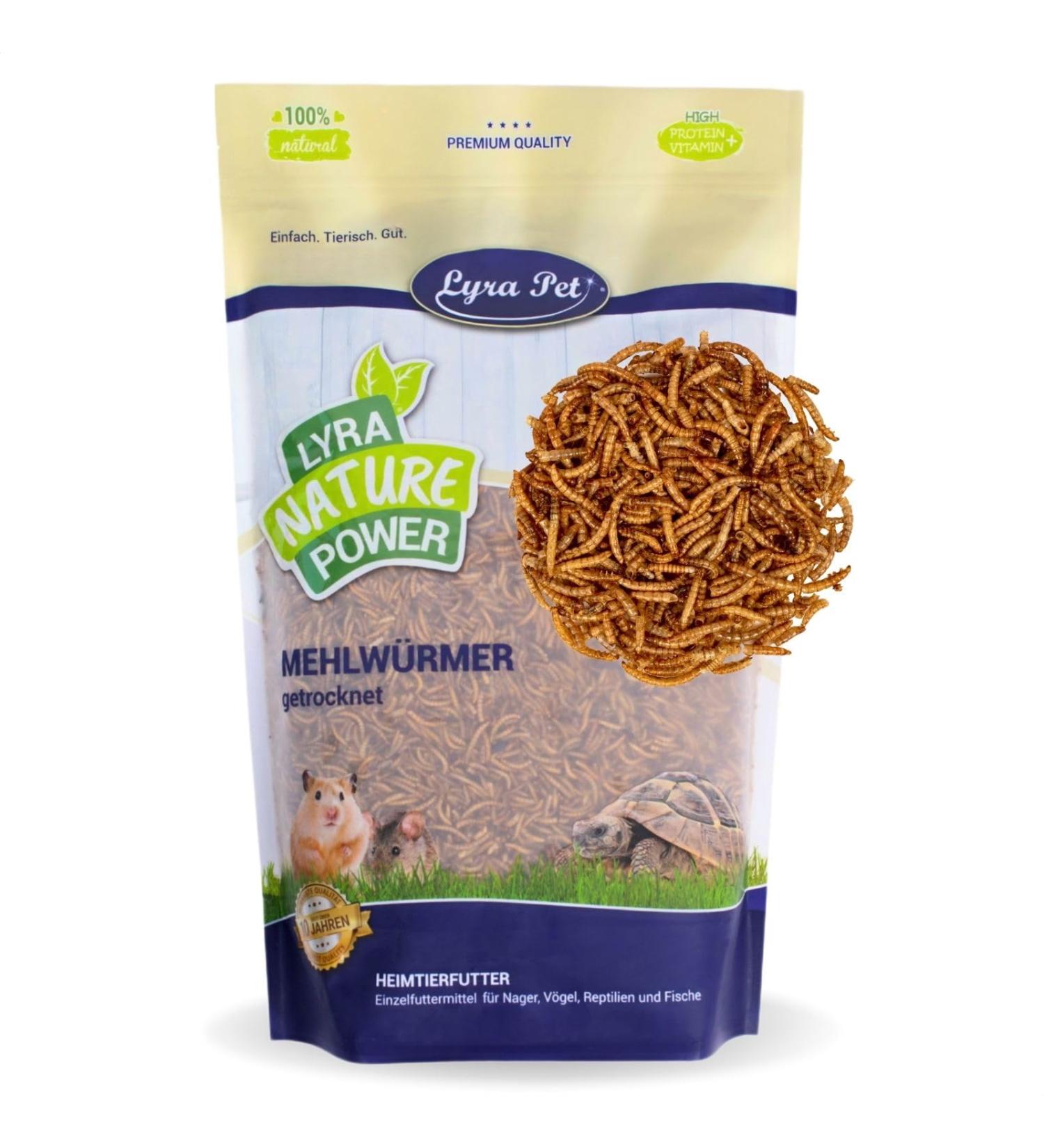 Lyra PET 2 kg Mealworms - Premium Protein Snack for Hamsters Rats & Racing Mice | Gently Dried Nutrient-Rich Ideal for Rodents | Natural Energy Boost - Buy Online on SooperMarket.com