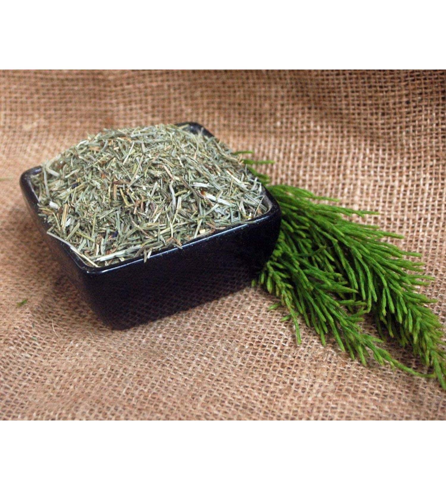 Krauterino24 - Horsetail herb cut quantity: 500g
