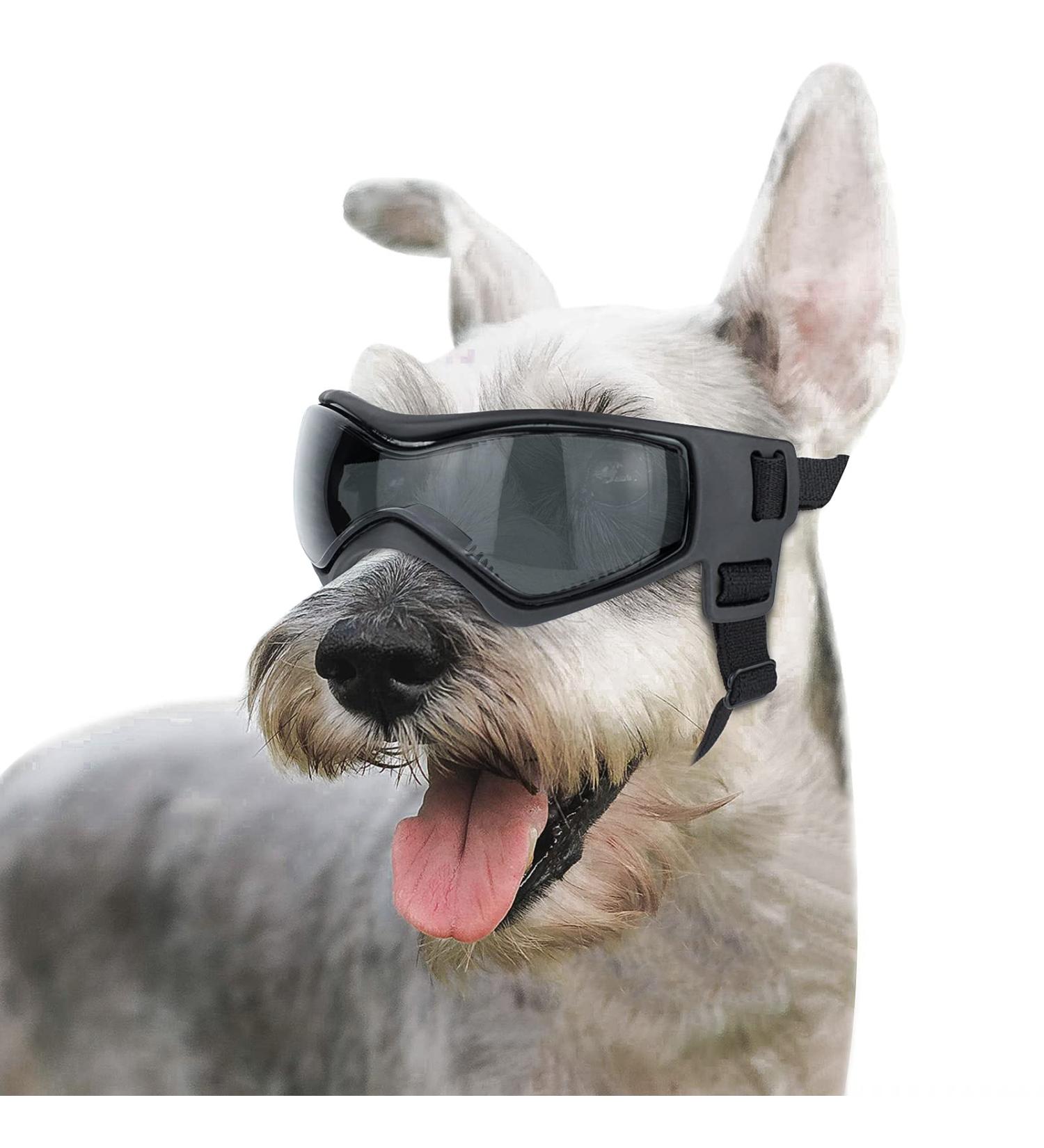 Petleso Dog Glasses for Medium Breeds - UV Protection Windproof Pet Sunglasses with Adjustable Straps for Outdoor Activities - Buy Online on SooperMarket.com