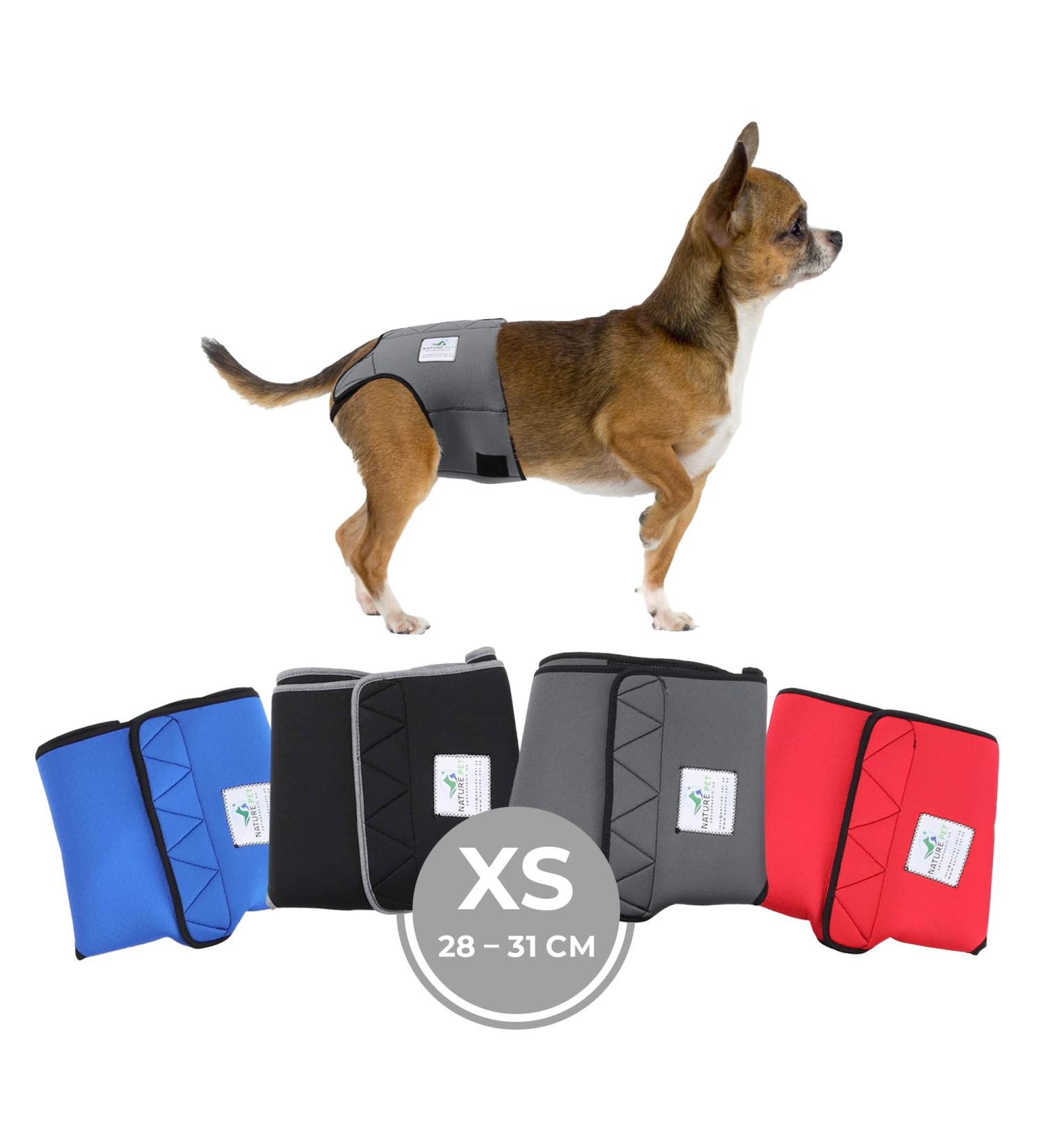 Sailing Trousers for Dogs 2.0 | High-Quality Neoprene Male Diapers - XS Gray - Optimal Air Exchange - Buy Online on SooperMarket.com