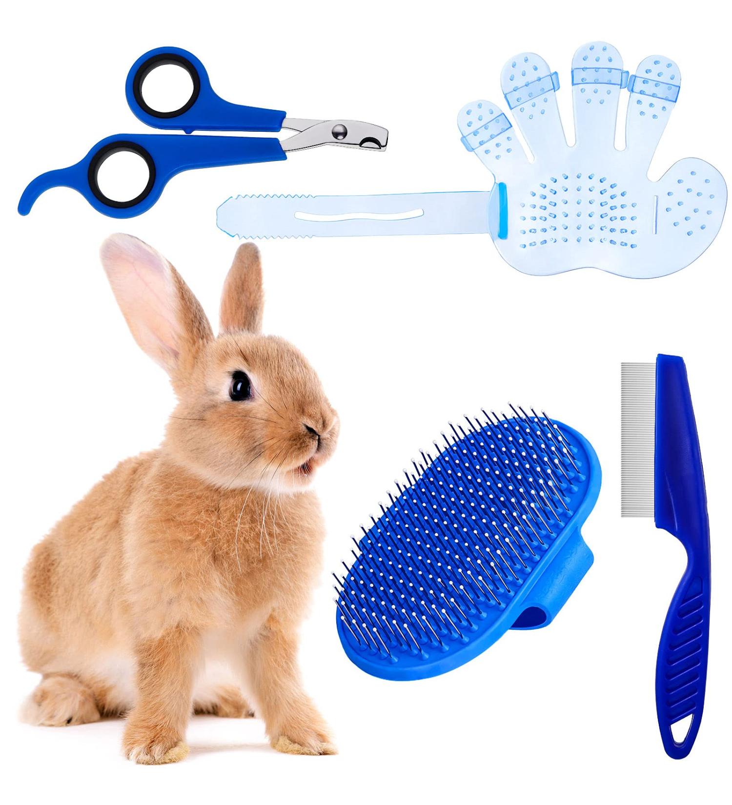 Bunny Grooming Kit: Rabbit Brush, Hair Remover, Nail Clipper, Comb & Bath Brush in Blue - Buy Online on SooperMarket.com