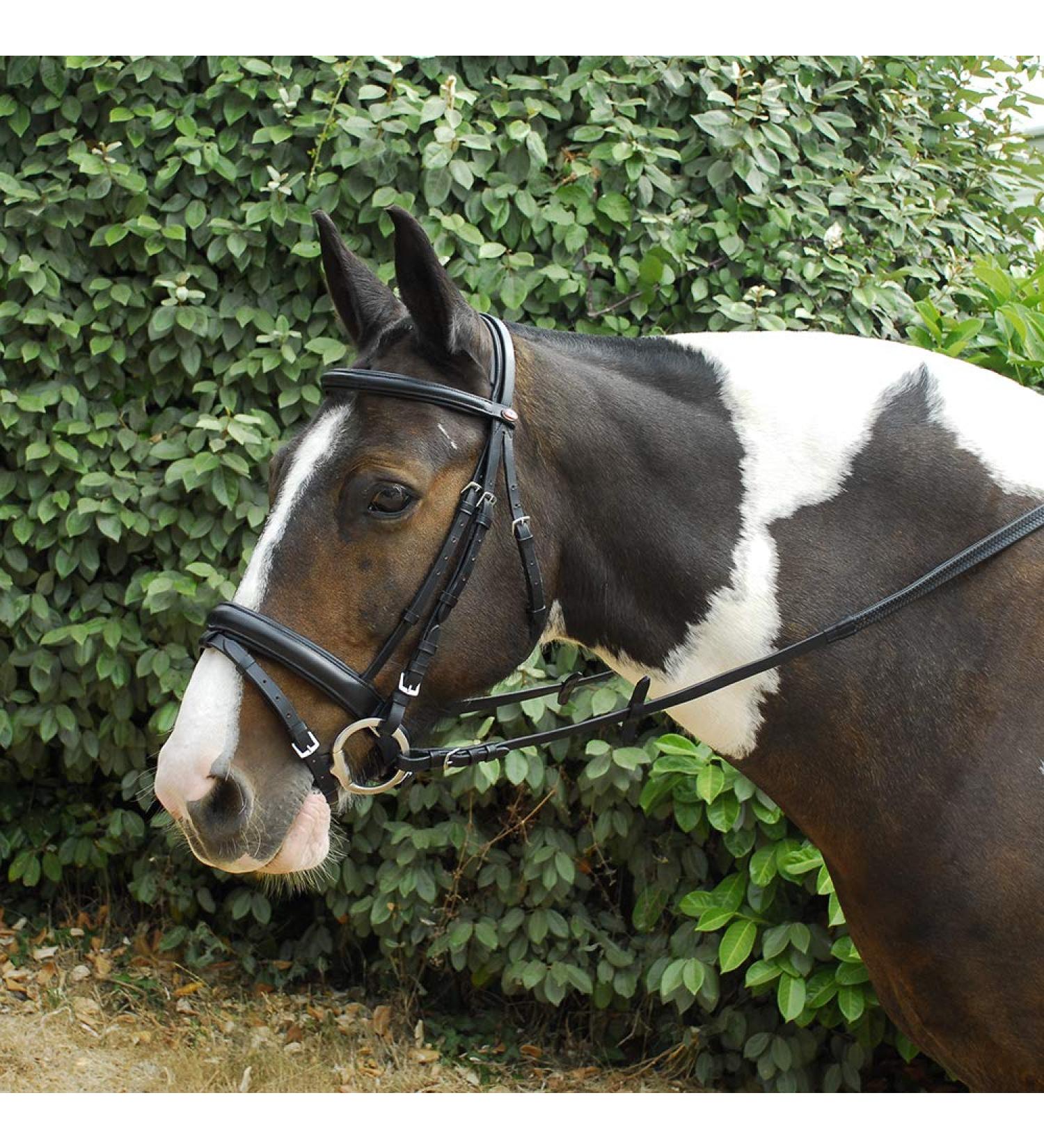 Windsor Leather Comfort Horse Pony Snaffle Bridle Flash Noseband Full Black