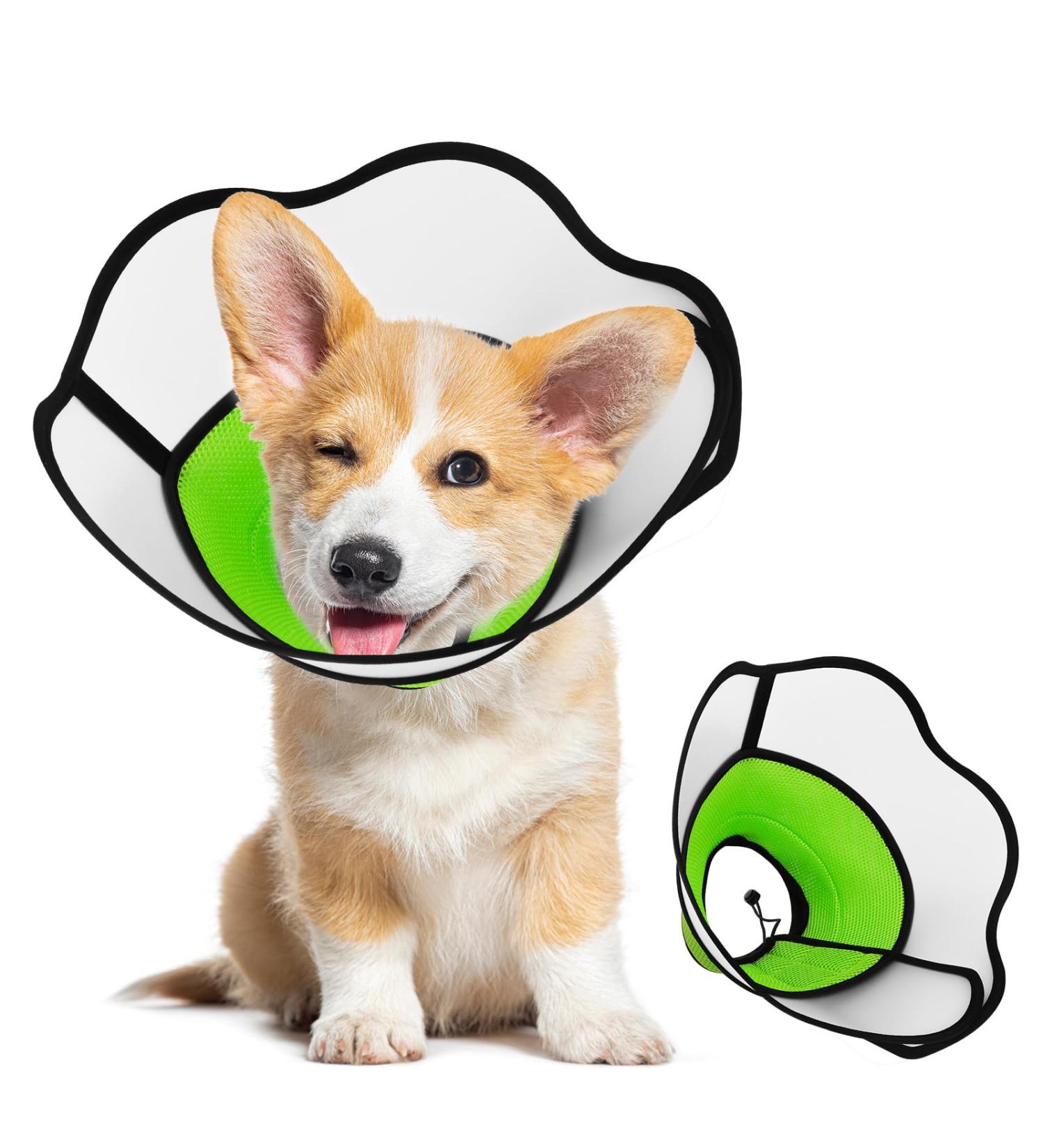 ZEEJORY Adjustable Cat & Dog Cone Collar for Fast Healing - M(28-37cm/11-14.5in) - Buy Online on SooperMarket.com