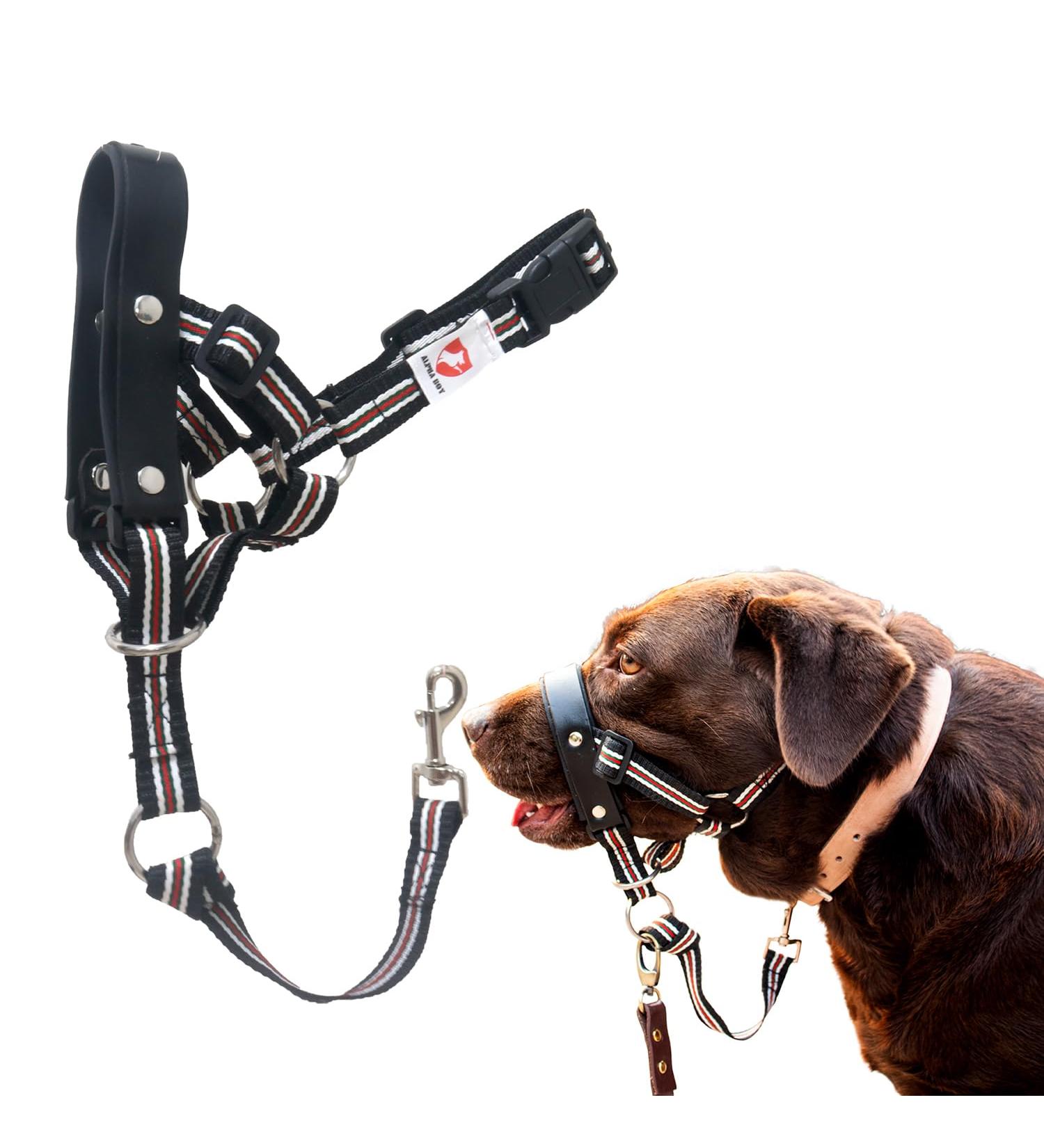 Alpha Boy Dog Training Collar | Comfortable & Gentle Handlebars for All Breeds | Real Leather Medium Harness with Quick Lock Buckle - Easy to Use - Buy Online on SooperMarket.com