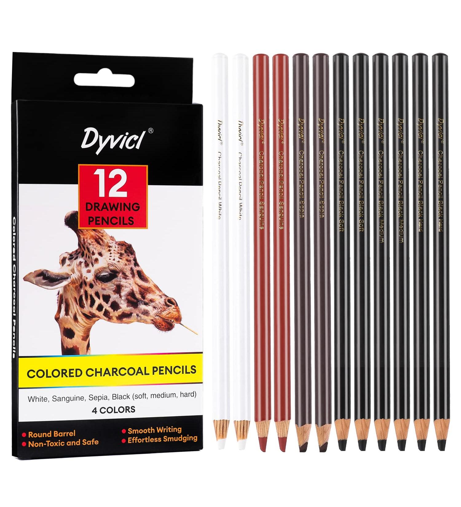 Dyvicl Charcoal Pencils Drawing Set - 12 Pieces for Drawing, Sketching, Shading, Blending - Ideal for Beginners and Artists - Buy Online on SooperMarket.com