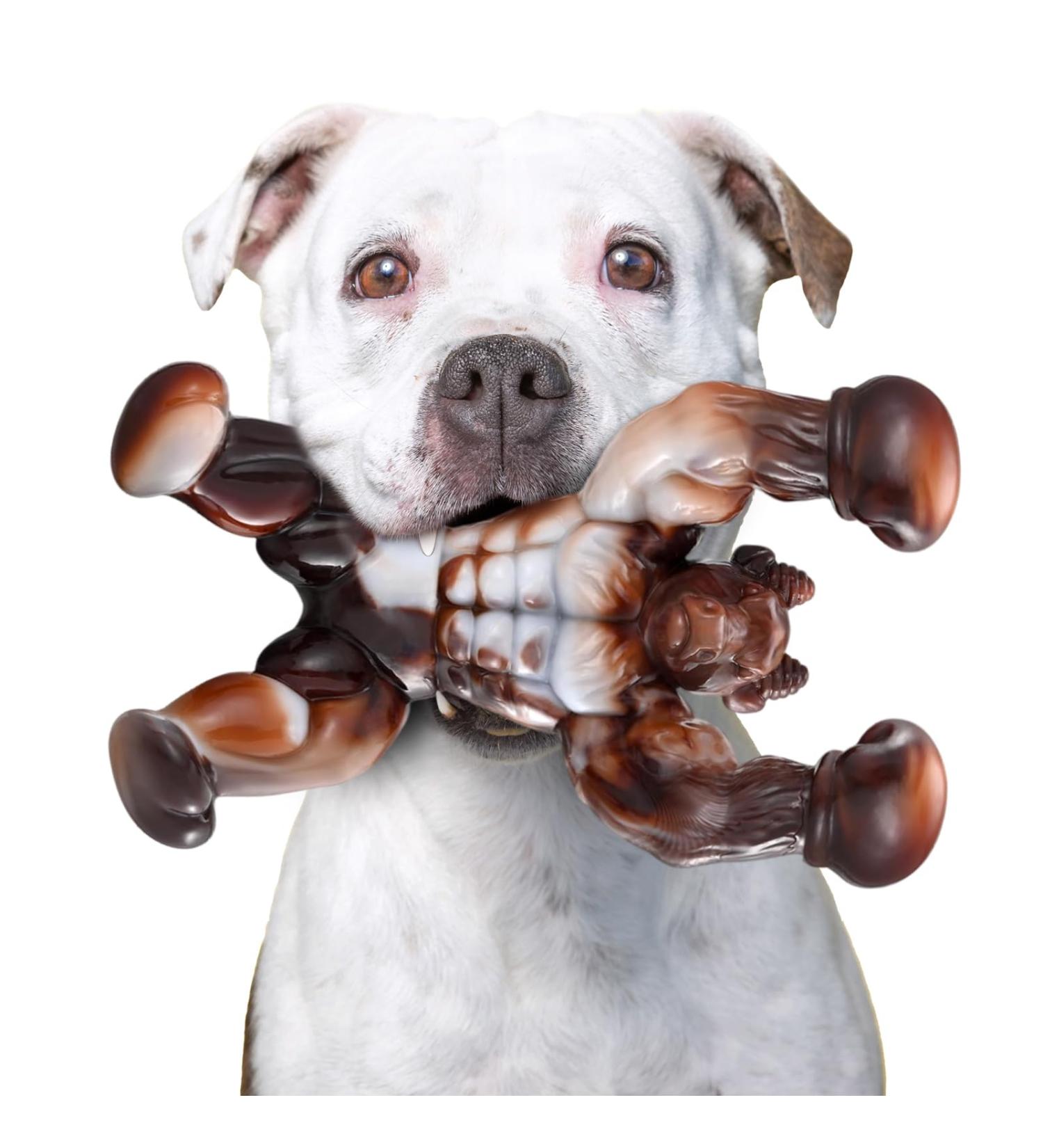 Zinbo Indestructible Dog Toys for Aggressive Chewers - Dark Brown, Medium/Large Breed - Buy Online on SooperMarket.com