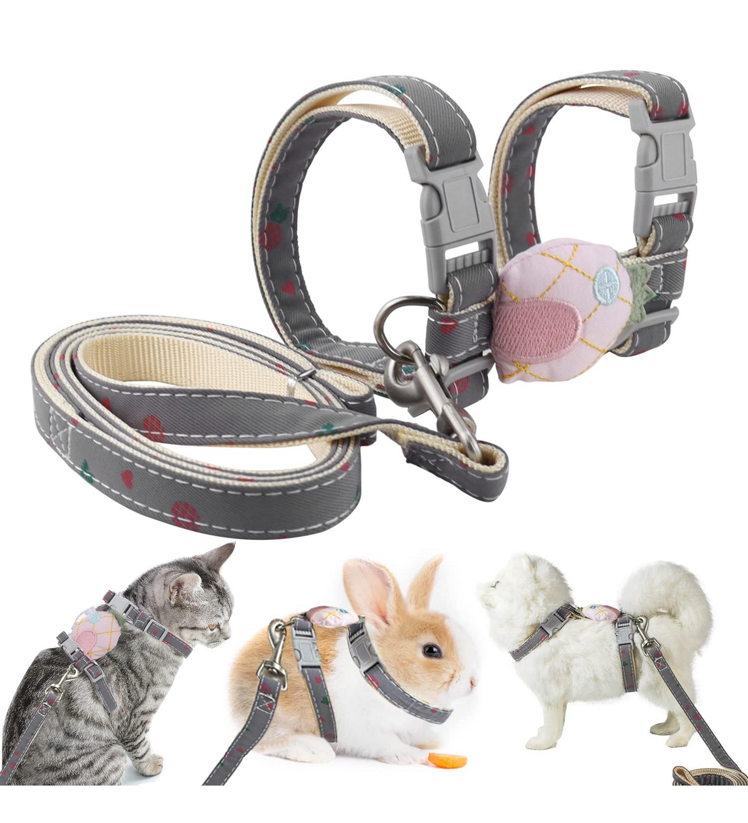 Adjustable Rabbit Dishes with Leash | Nylon Pet Bowls for Rabbits Kittens Puppies & Small Pets - Perfect for Outdoor Hikes | Shop Internationally - Buy Online on SooperMarket.com