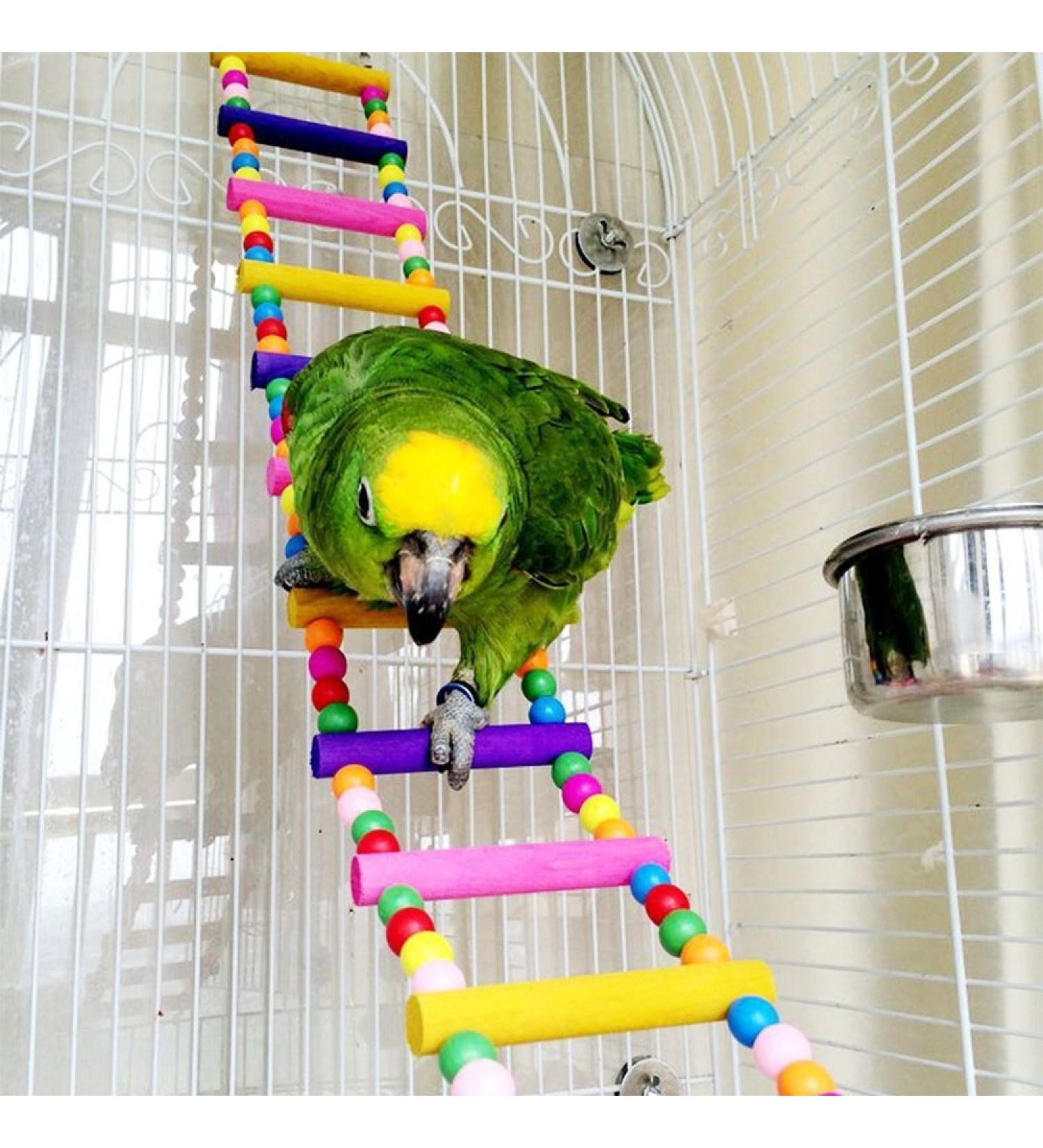Ladder Bird Toys for Parrots and Small Pets - Wooden Cage Swing & Perch Trainning Toy with 10 Ladders - Buy Online on SooperMarket.com