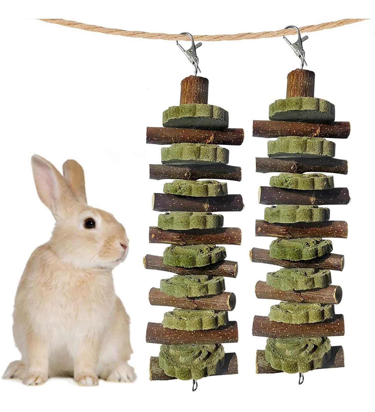 Edible Apple Wooden Sticks for Small Pets 2 Pack of Natural Snacks & Grinding Toys for Rabbits Chinchillas & Guinea Pigs - Buy Online on SooperMarket.com