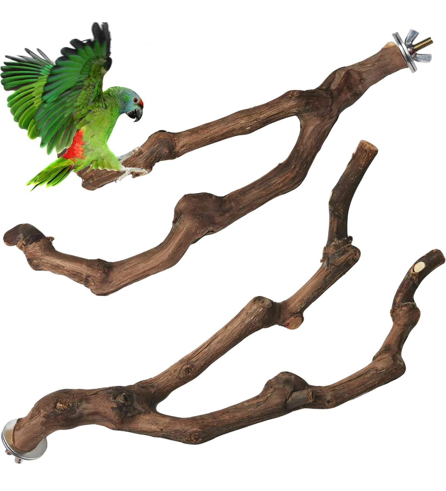 PINVNBY Natural Parrot Perch Stand Wild Grape Stick Toy for Small Birds - 2PCS - Buy Online on SooperMarket.com