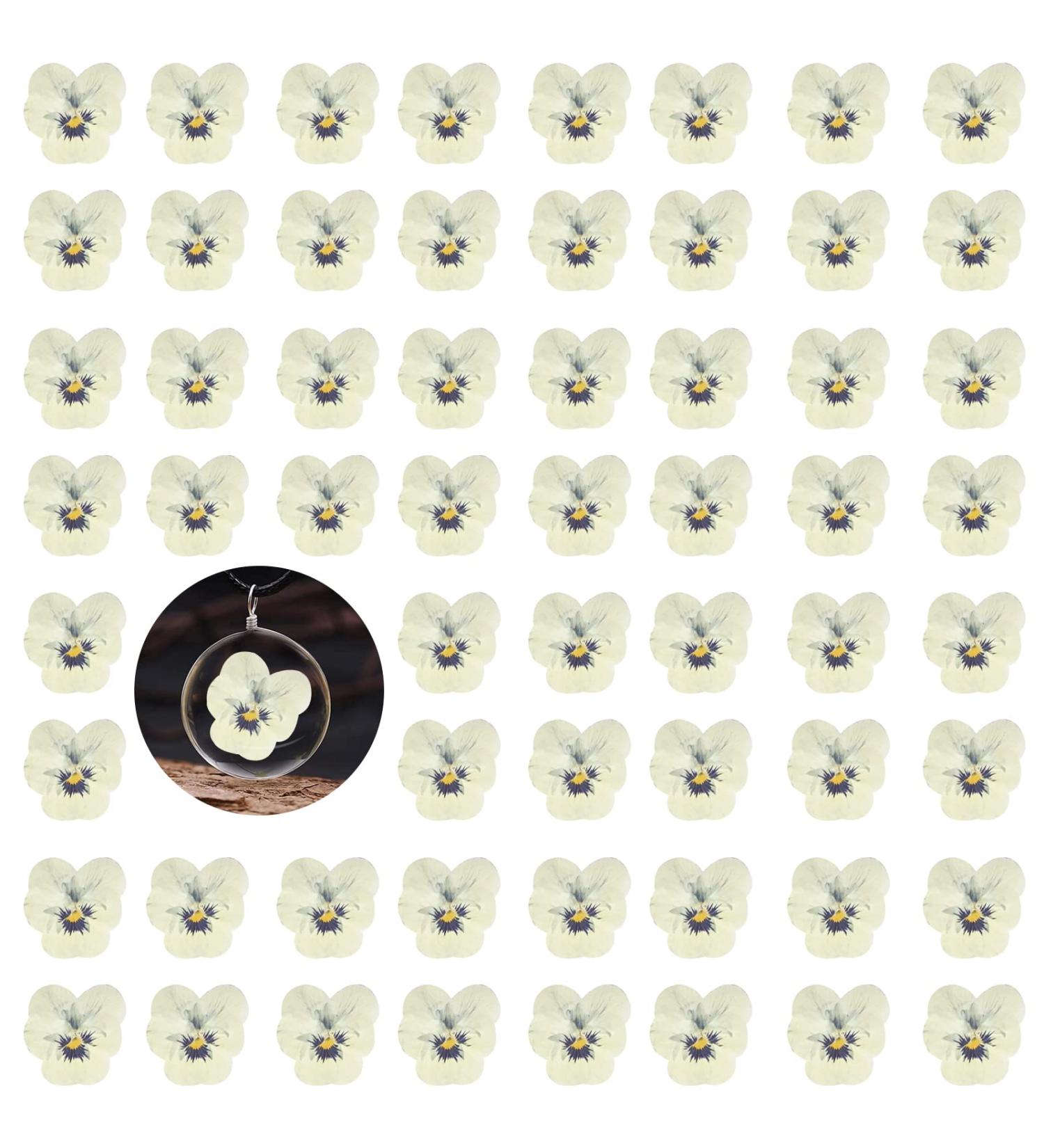 Dried White Pansy Flowers - 60 pcs for Resin Art, Jewelry, Candle Making & Crafts - Buy Online on SooperMarket.com
