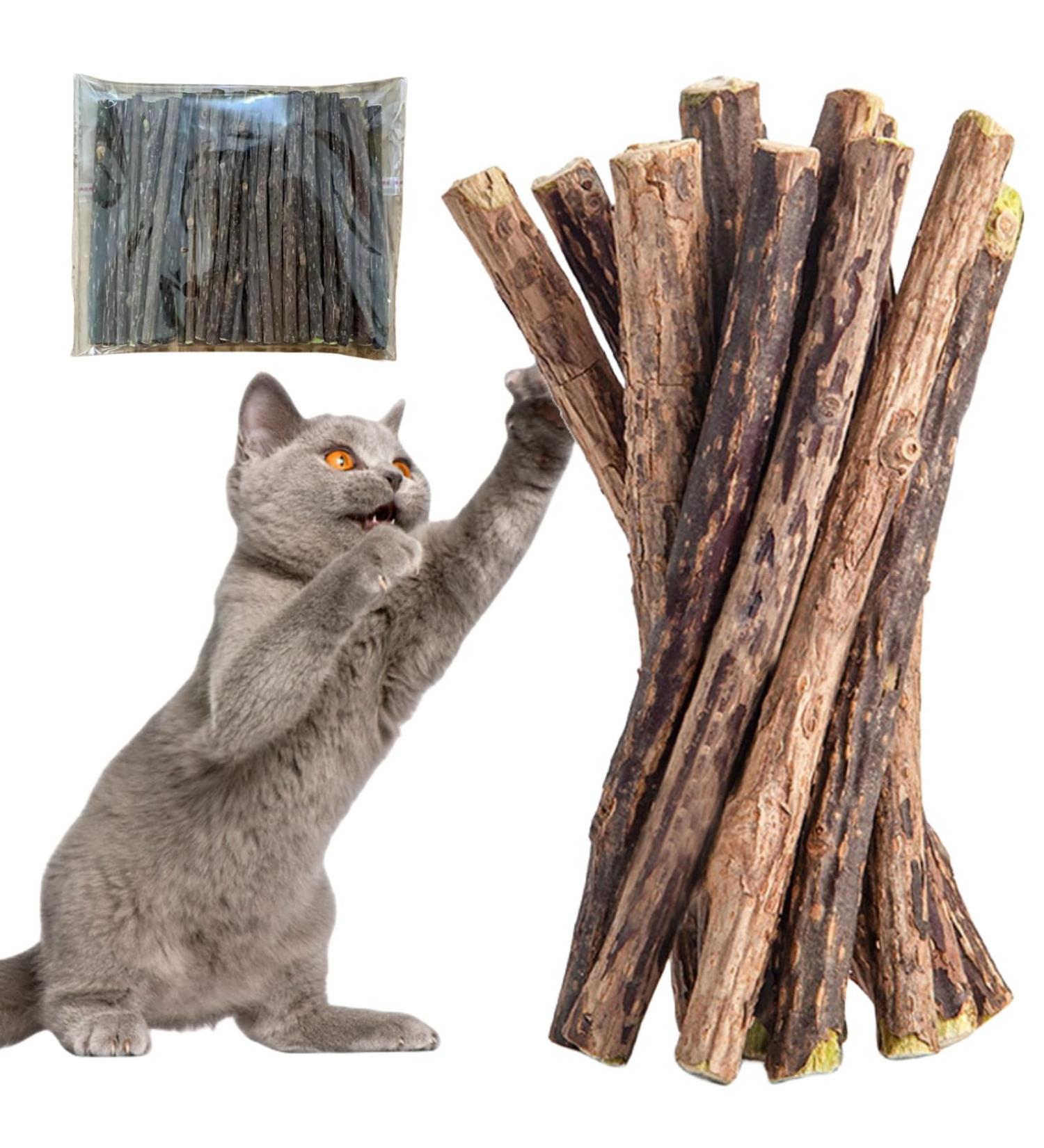 Buy Matatabi Cat Mint Sticks - 40 Pieces for Dental Care | Catnip Toys for Cats - Buy Online on SooperMarket.com