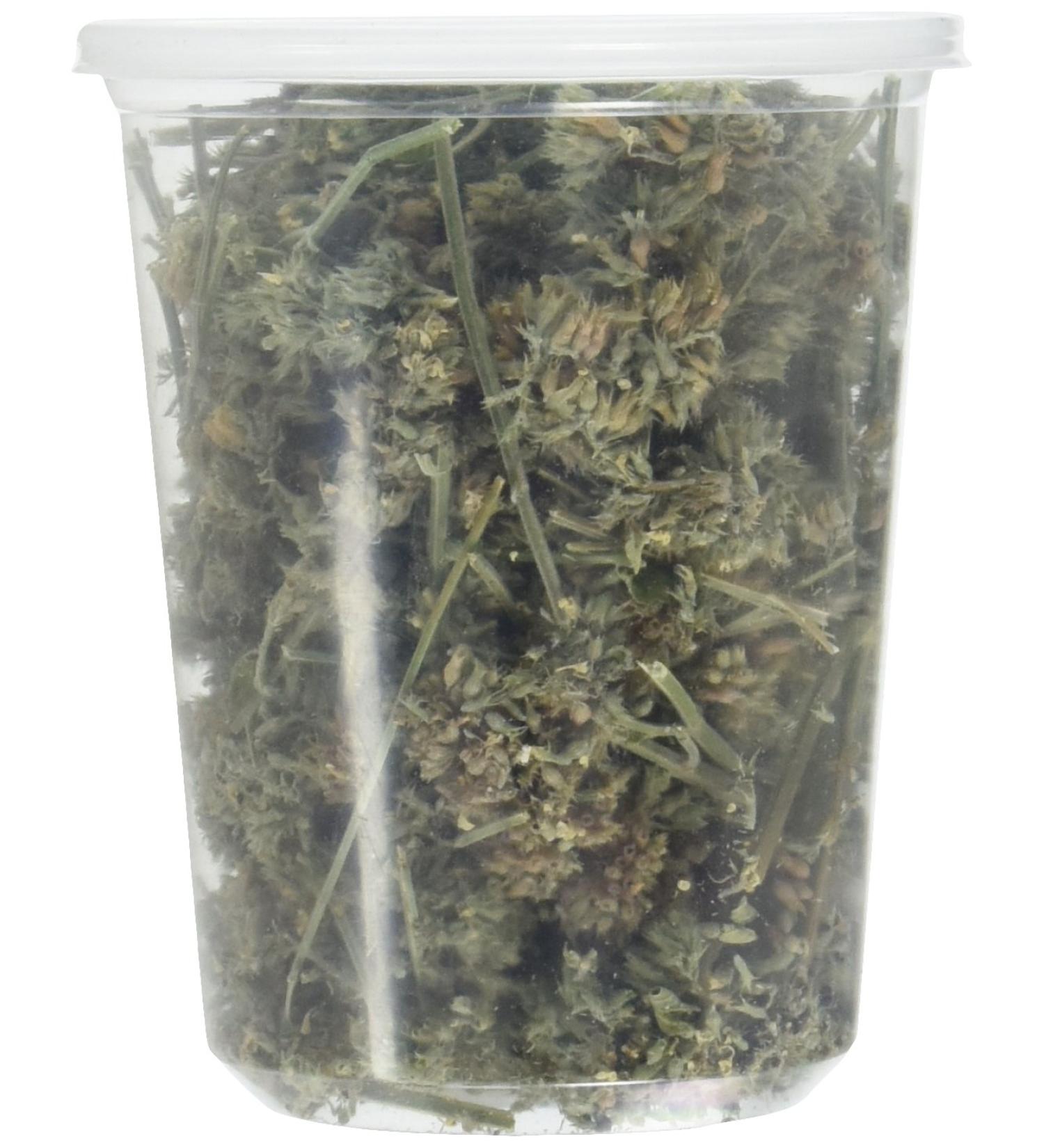 From The Field Catnip Buds 1oz: Premium Organic Catnip for Maximum Fun - Buy Online on SooperMarket.com