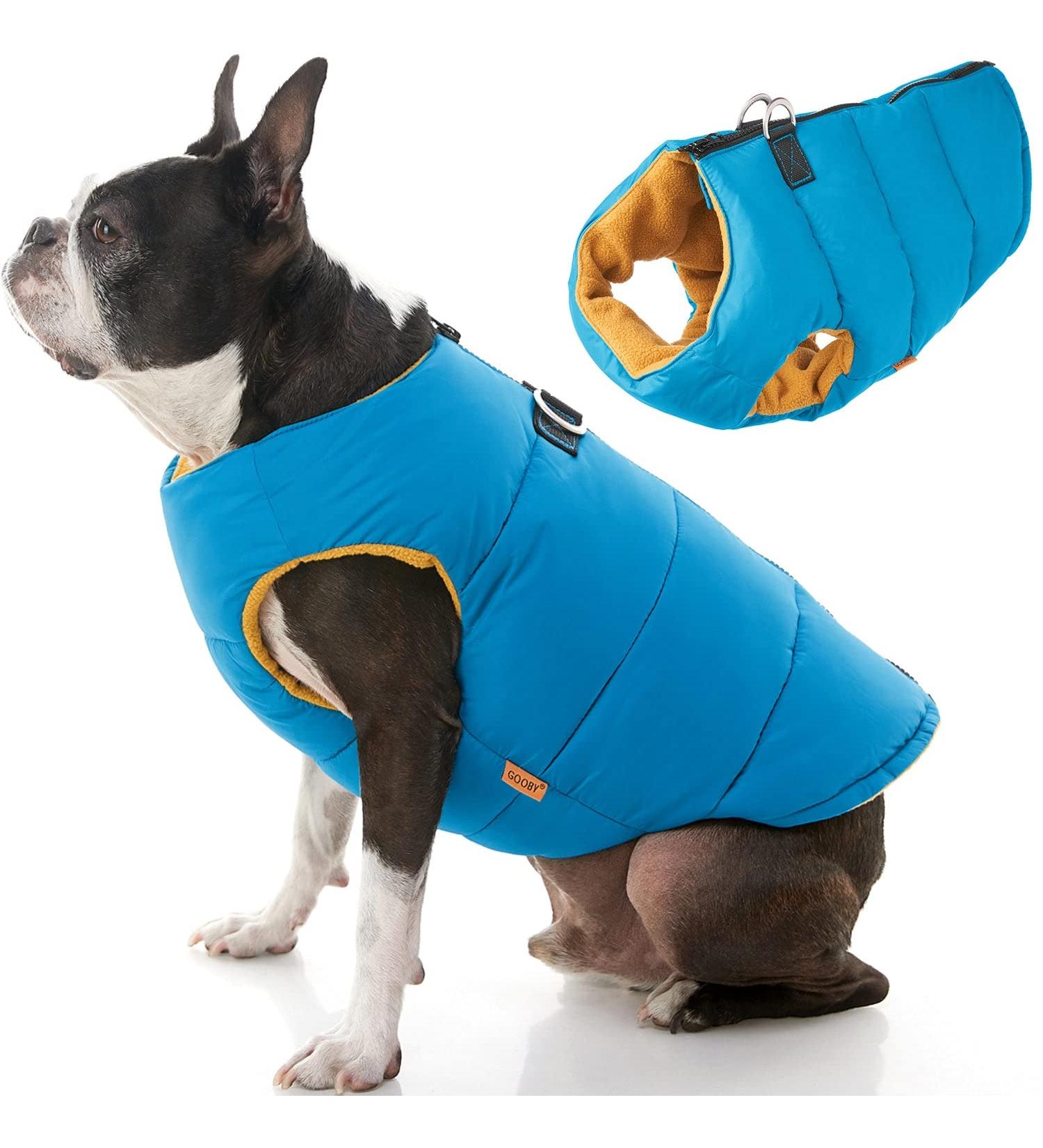 Padded Vest Dog Jacket - Solid Turquoise, Small - Gooby Warm Zip Up Fleece Jacket for Small Dogs - Water Resistant with Dual D Ring Leash Attachment - Small/Medium Dog Sweater - Buy Online on SooperMarket.com