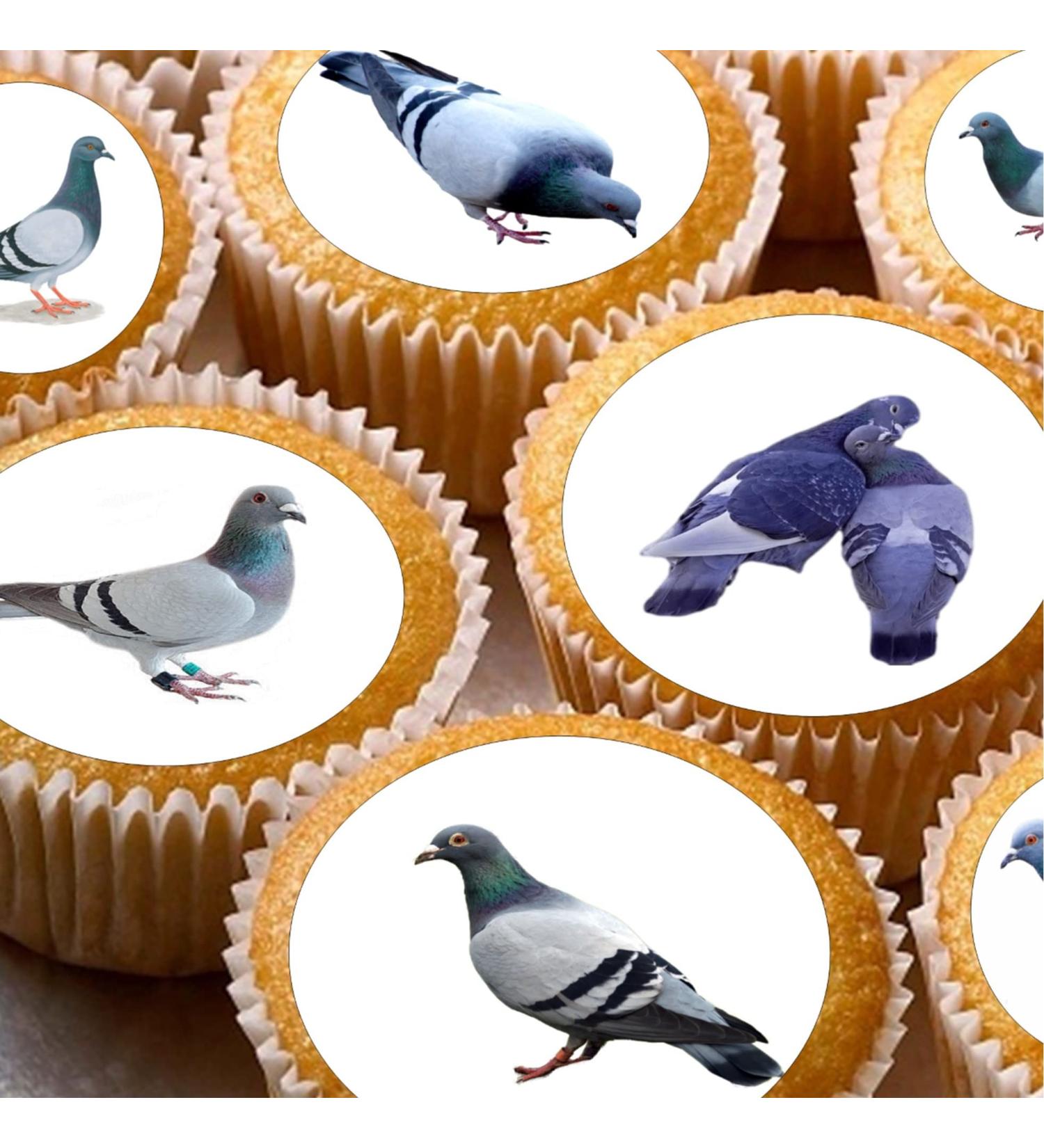 24 edible pigeons birds british wildlife kids childrens party decorations Iced/Icing Cupcake Topper Edible Fairy Cake Bun Toppers Round - Buy Online on SooperMarket.com