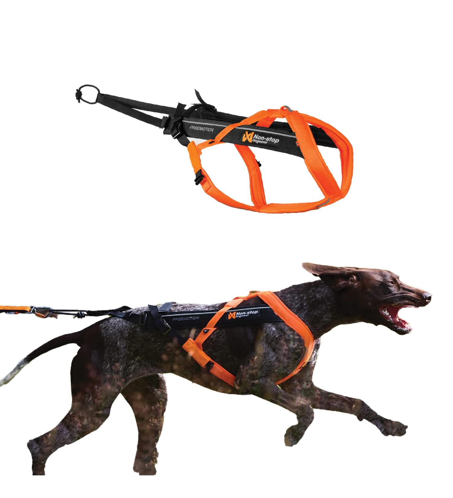Non-stop Dogwear Freemotion Harness 5.0 | Versatile Dog Harness for All Sports | Size 8 Black/Orange - Shop Internationally - Buy Online on SooperMarket.com