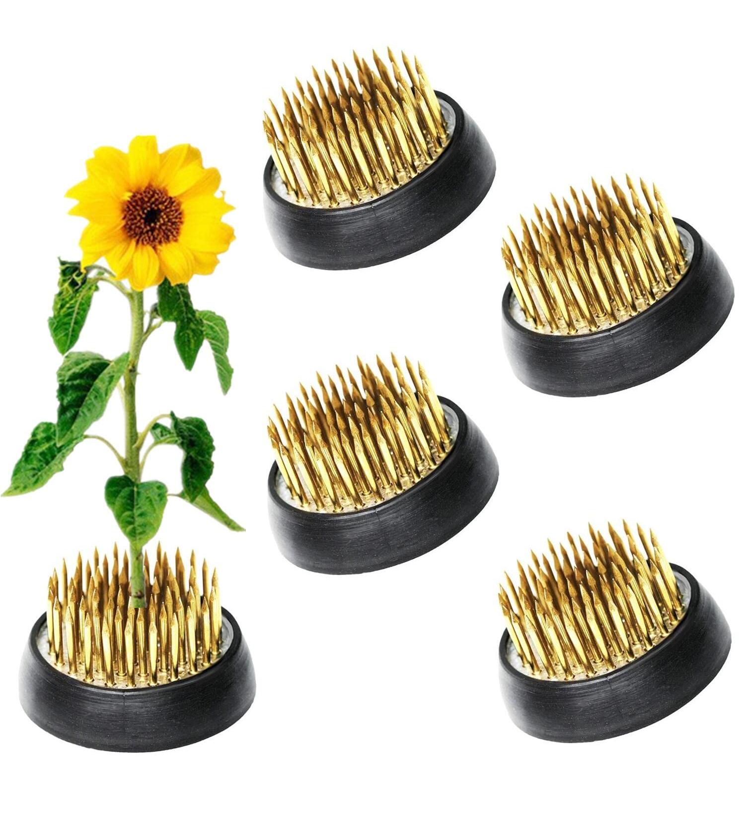 5Pcs 34mm Japanese Ikebana Kenzan Flower Frogs Set - Flower Arrangement Holders - Buy Online on SooperMarket.com