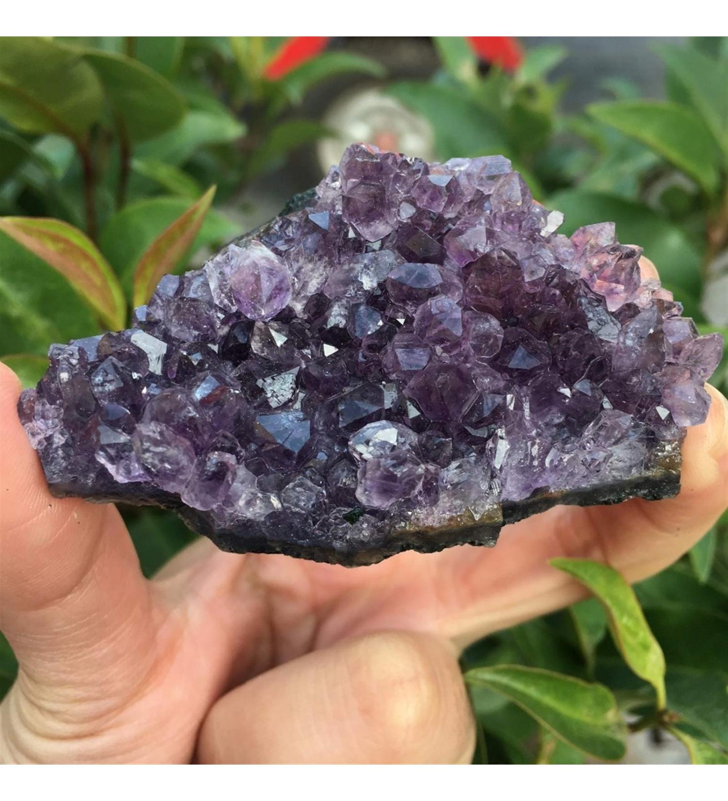 60-70g Natural Dream Amethyst Quartz Crystal Cluster Specimen Reiki Stone ERTEYIN - Buy Online on SooperMarket.com