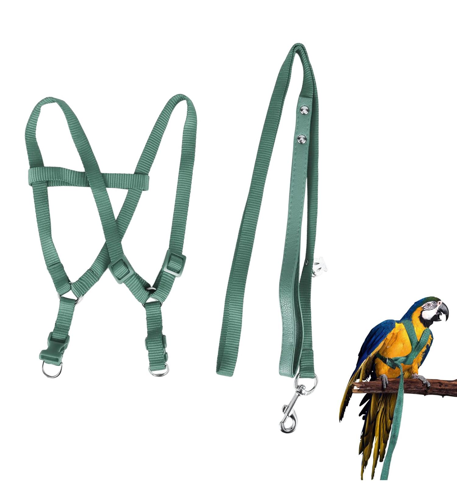 Ruqias Pet Bird Harness Leash for Macaw Cockatoos with Buckle Adorable Rainbow Design Safe Parrot Leash Pet Harness Outdoor Adjustable Anti Bite Training Rope for Macaw Large Size Bird L Green - Buy Online on SooperMarket.com