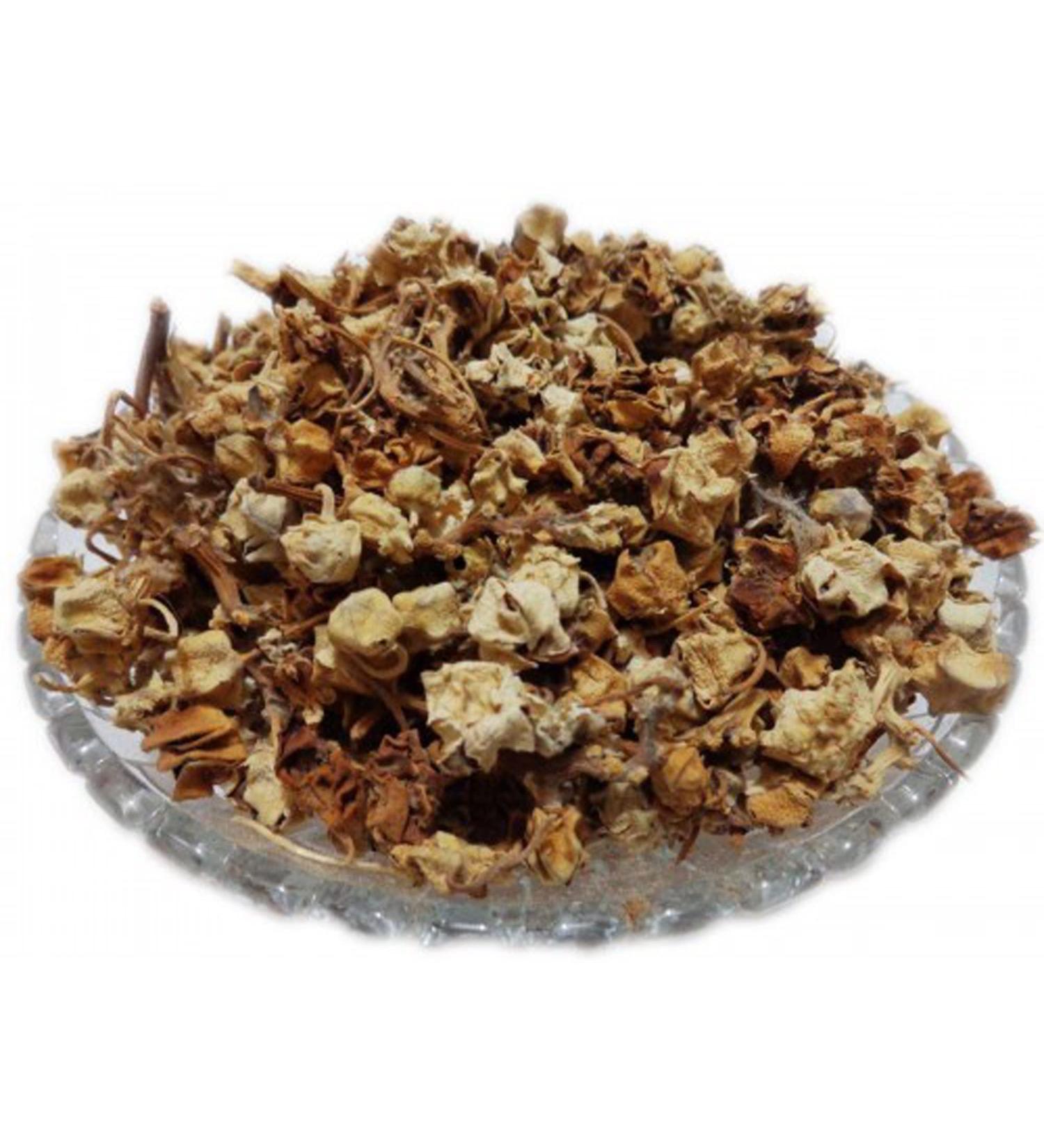 RAW HERBS/JADI BOOTI DRIED AAK PHOOL DRIED MADAR CALOTROPIS PROCERA (100GM) 100 g (Pack of 1) - Buy Online on SooperMarket.com