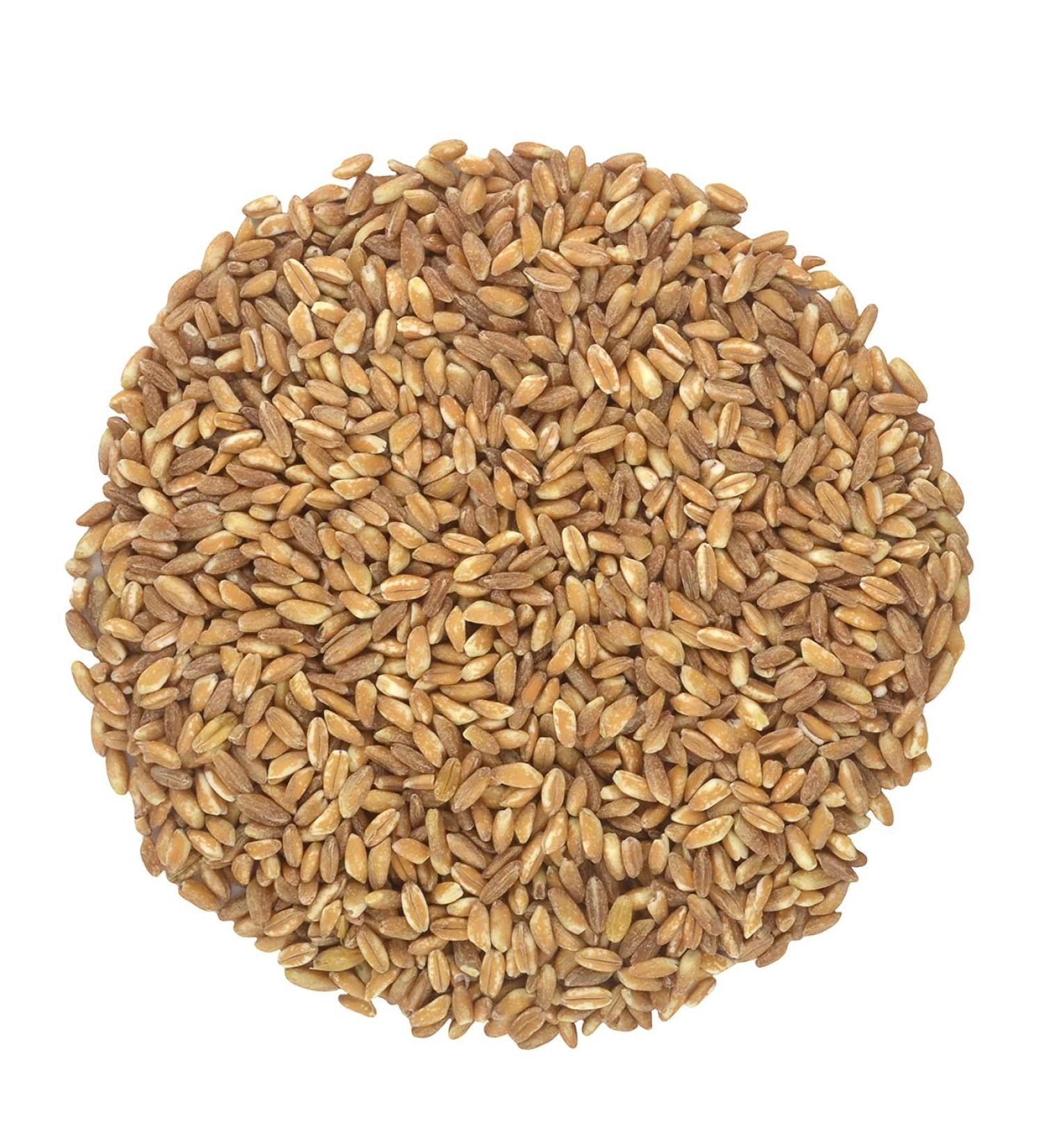 Organic Italian Pearled Farro - Raw  Non-GMO  Vegan  Bulk  Protein  Fiber Rich (10LB) Organic Pearled Farro 10 Pound (Pack of 1) - Buy Online on SooperMarket.com